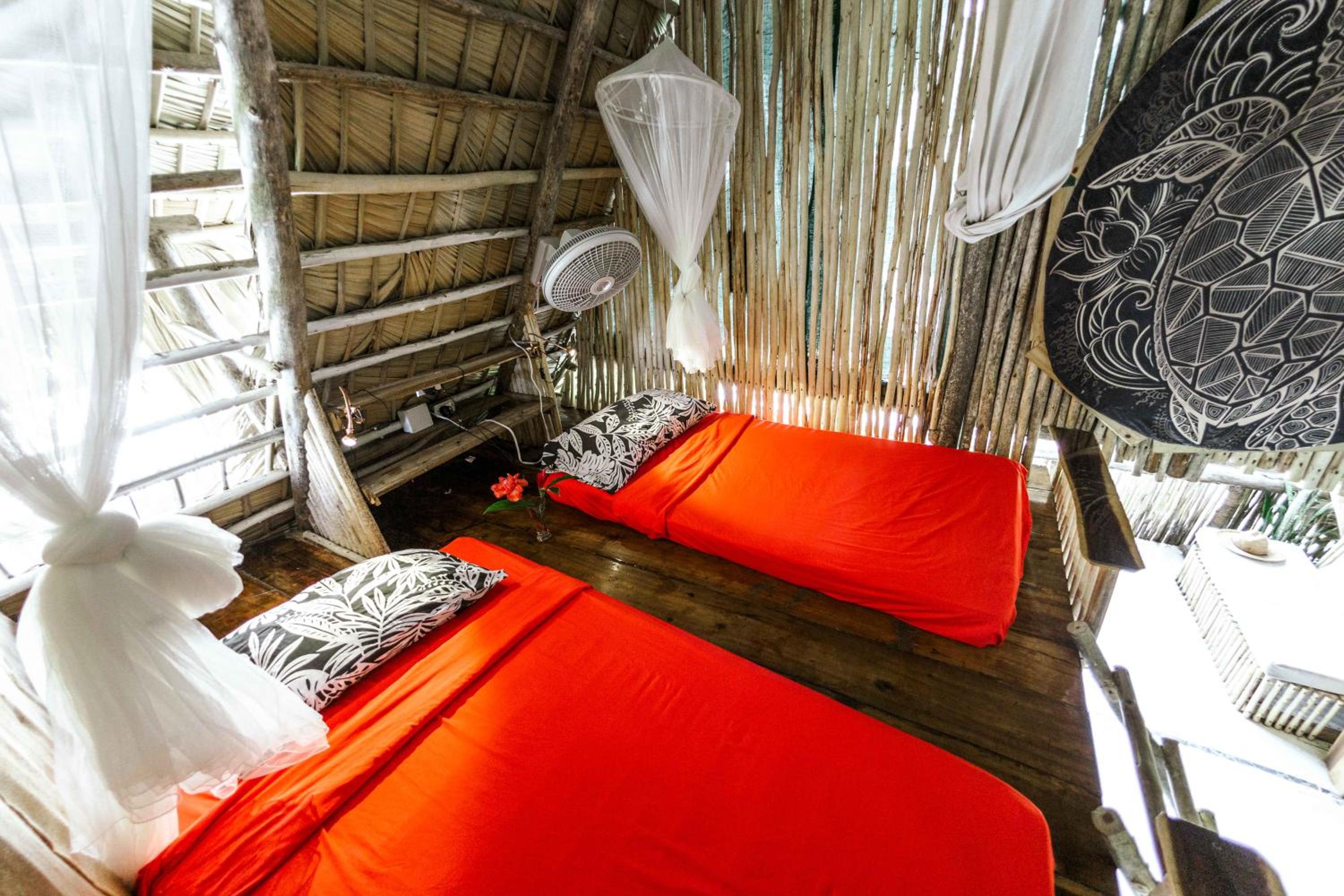 Single Bed in Mixed Dormitory Room photo 3