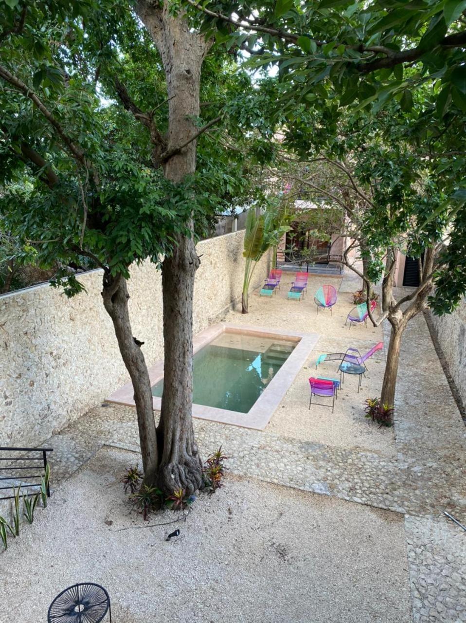 Queen Suite with Pool View - Photo 11