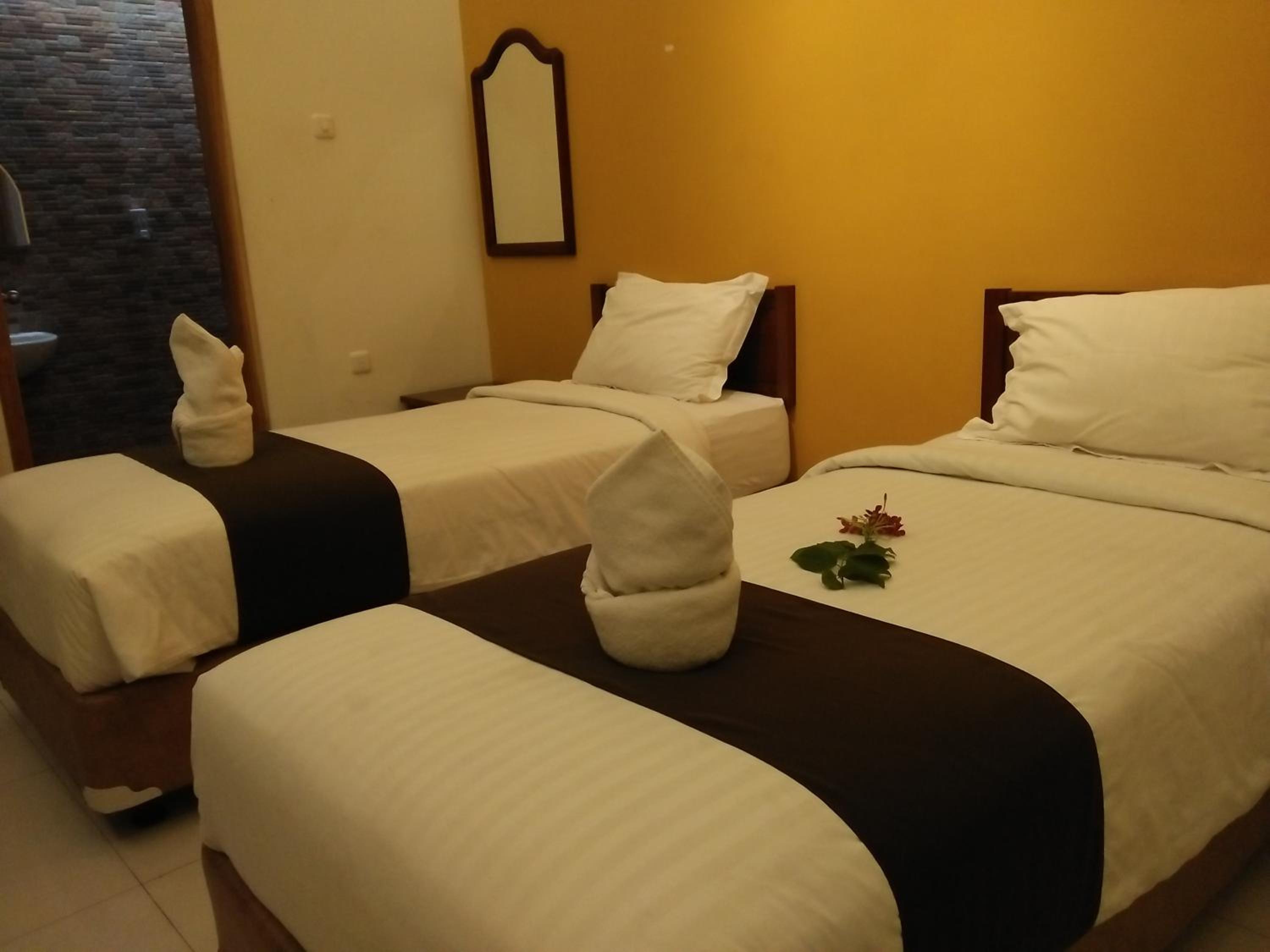 Deluxe Twin Room photo 2