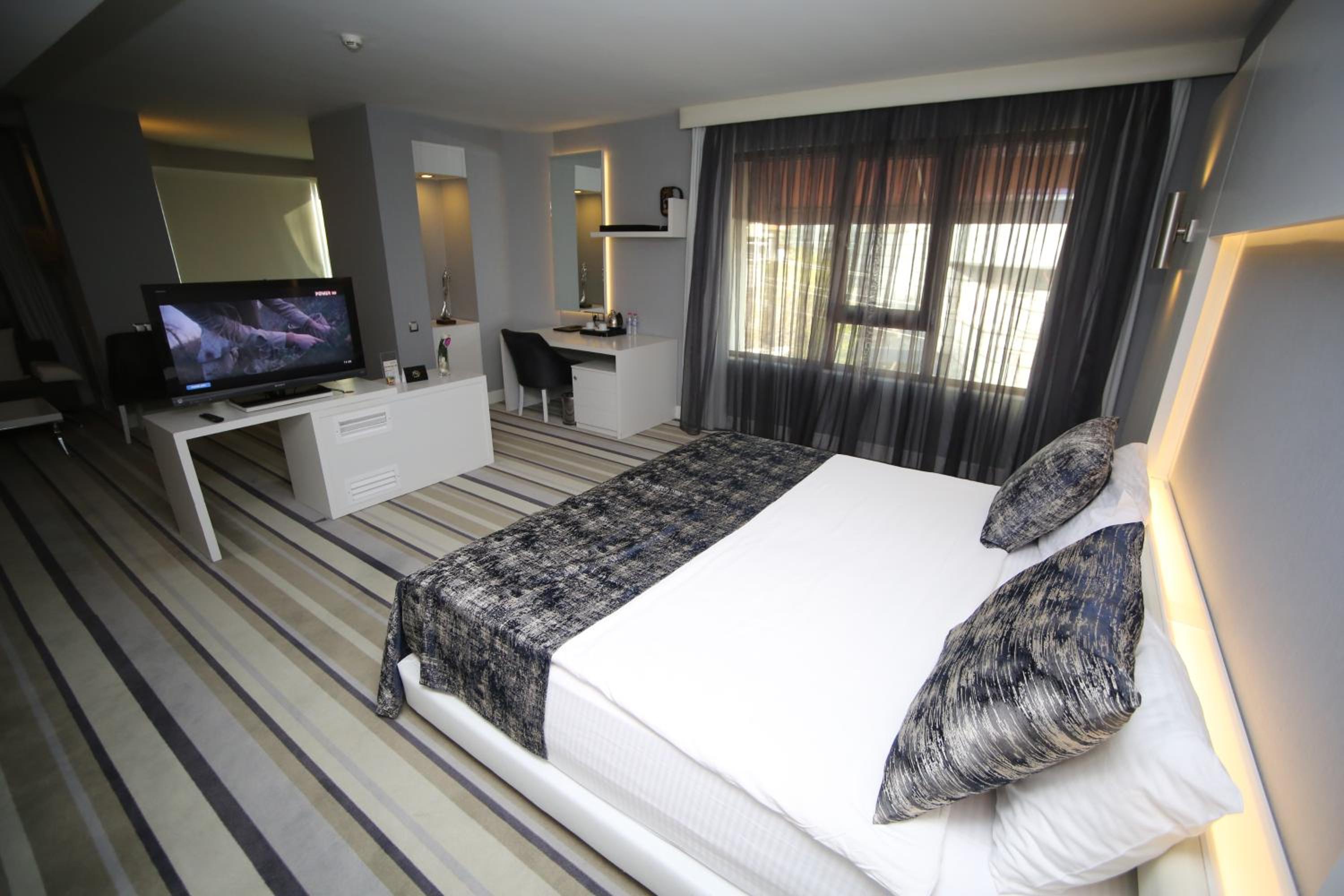 Suite - Photo 12