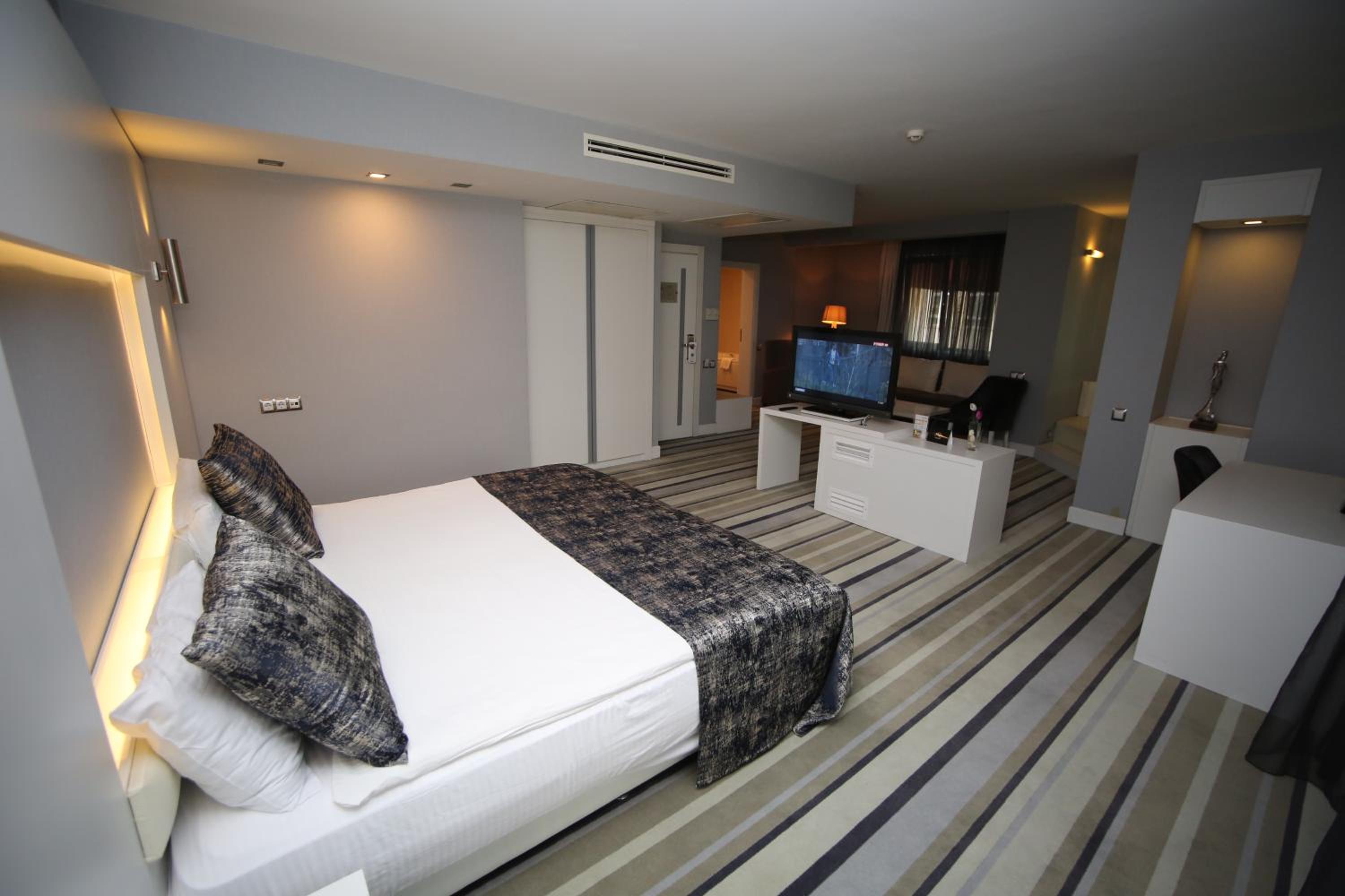 Suite - Photo 2