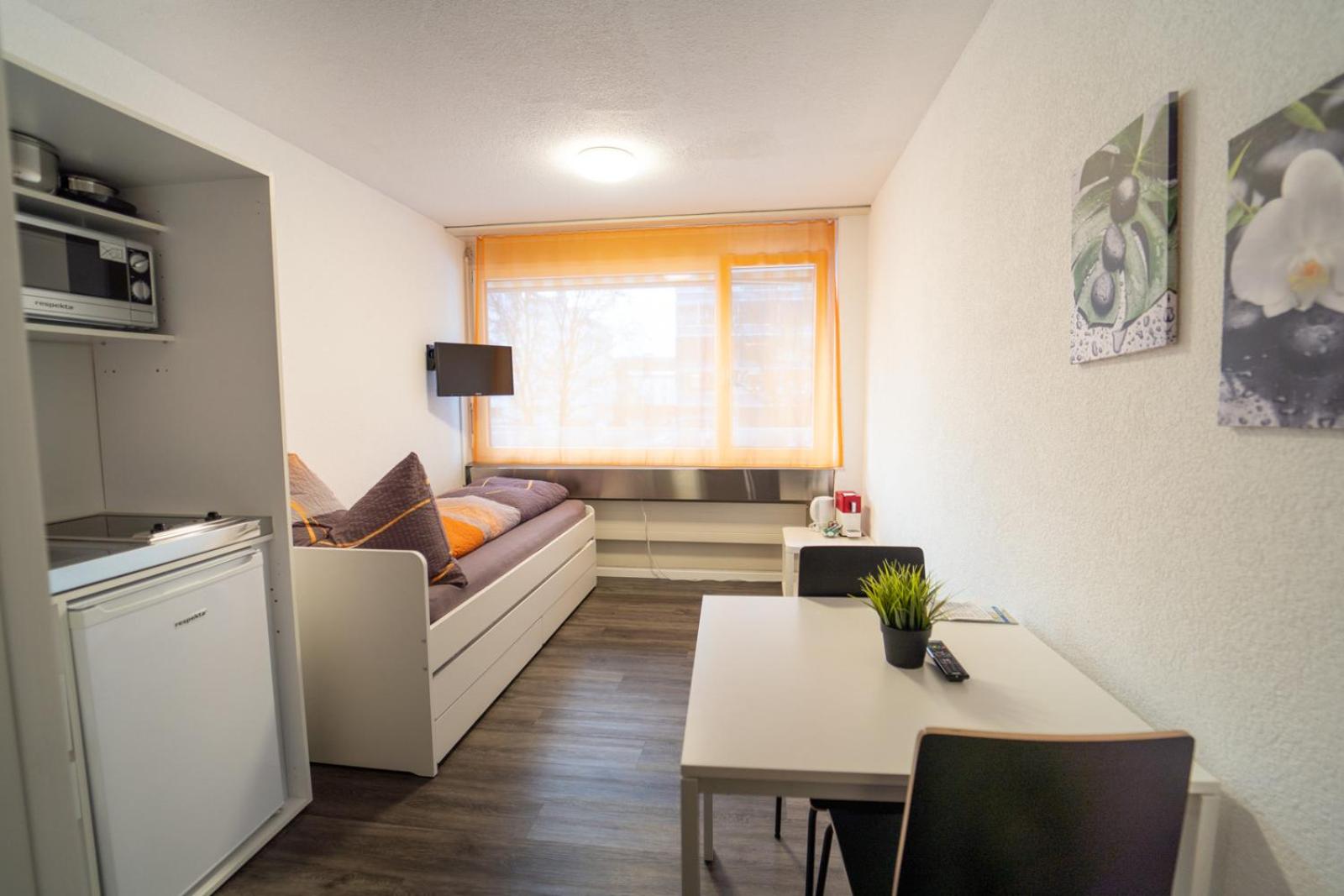 Standard Apartment photo 3