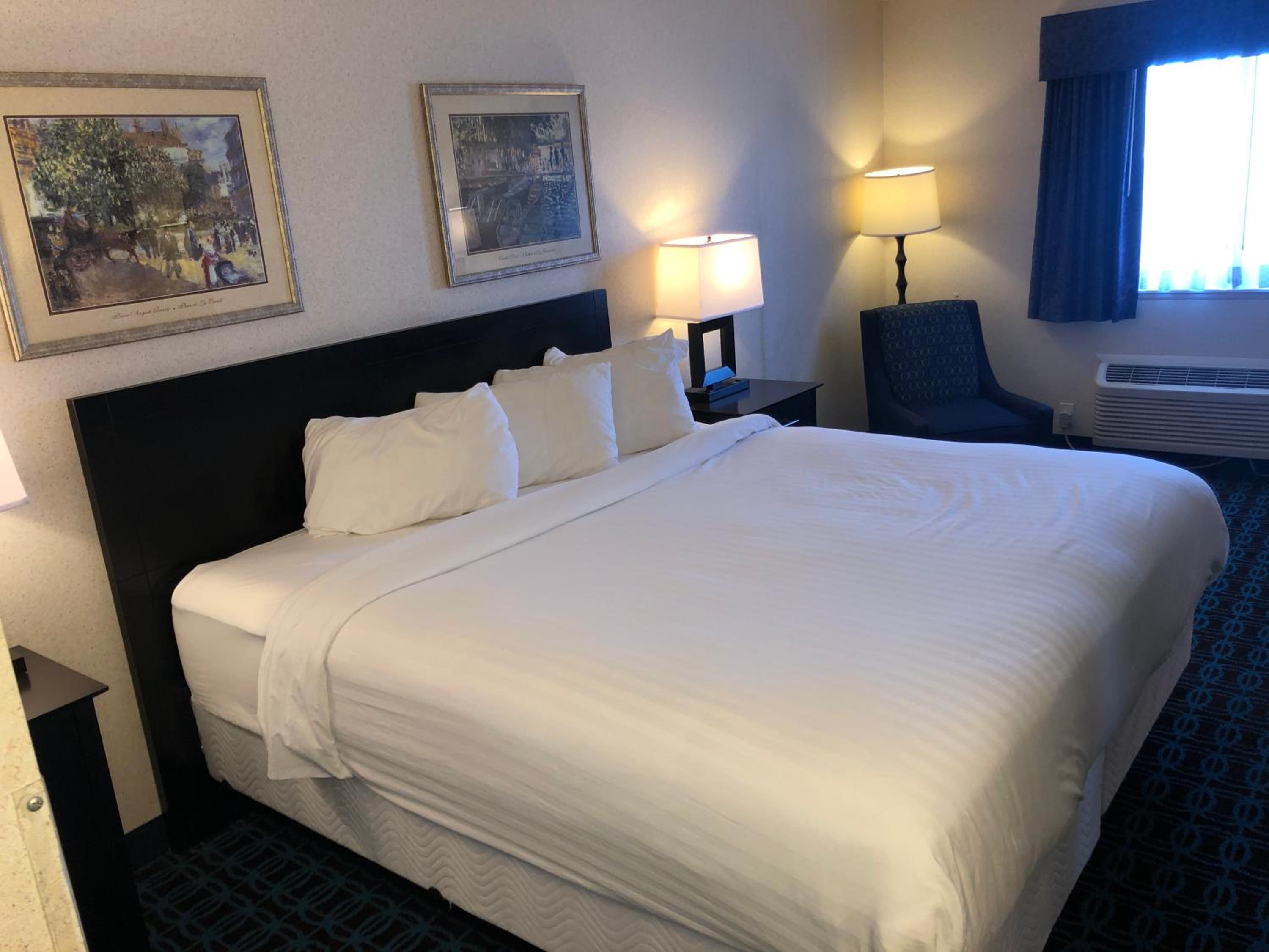 King Suite - Photo 3