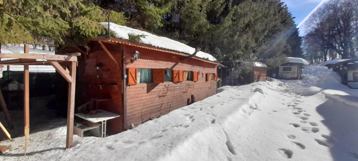 Mobile Home photo 2