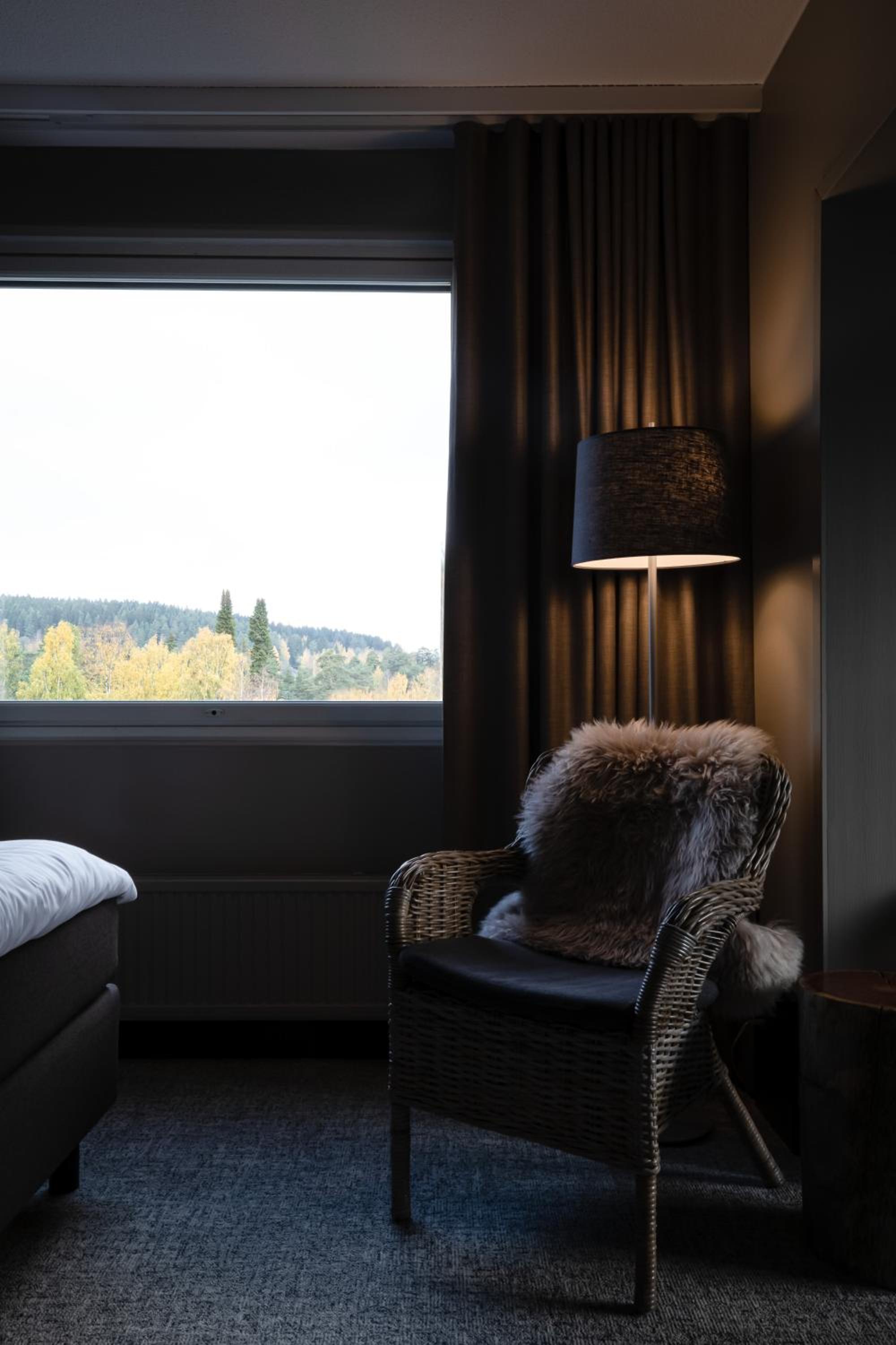 Suite - Photo 6