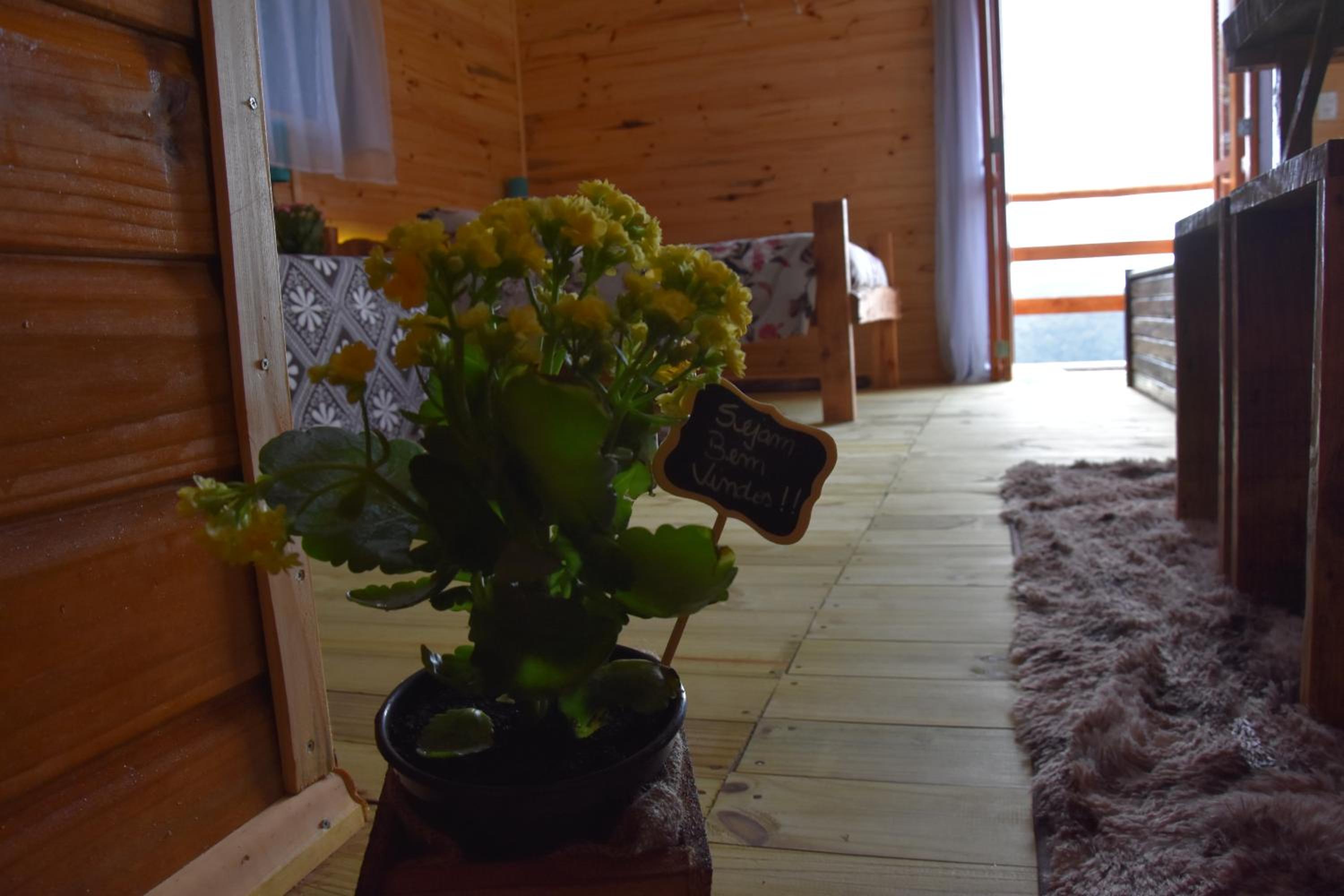 Double Room with Mountain View - Photo 4
