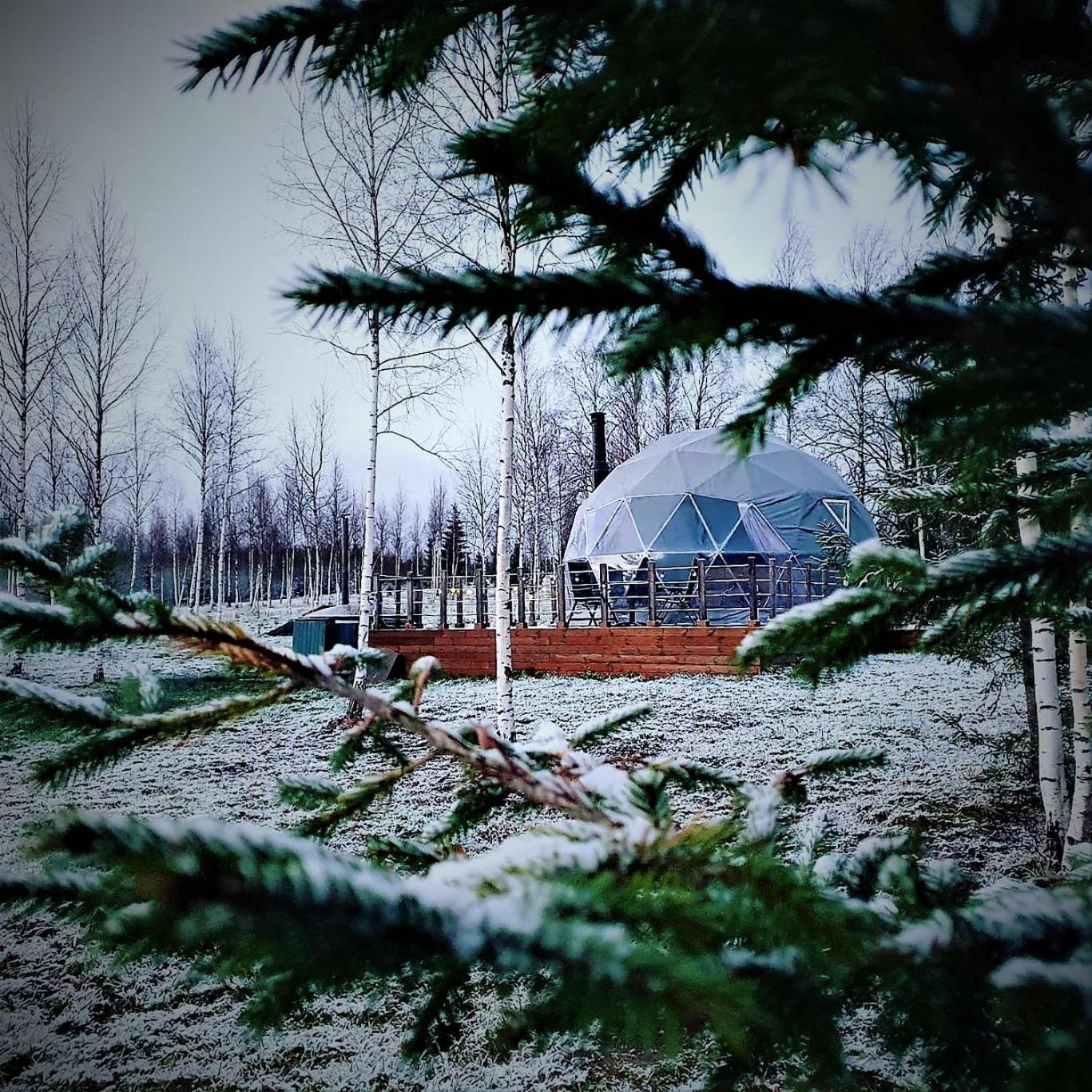 Tent Birches - Photo 15