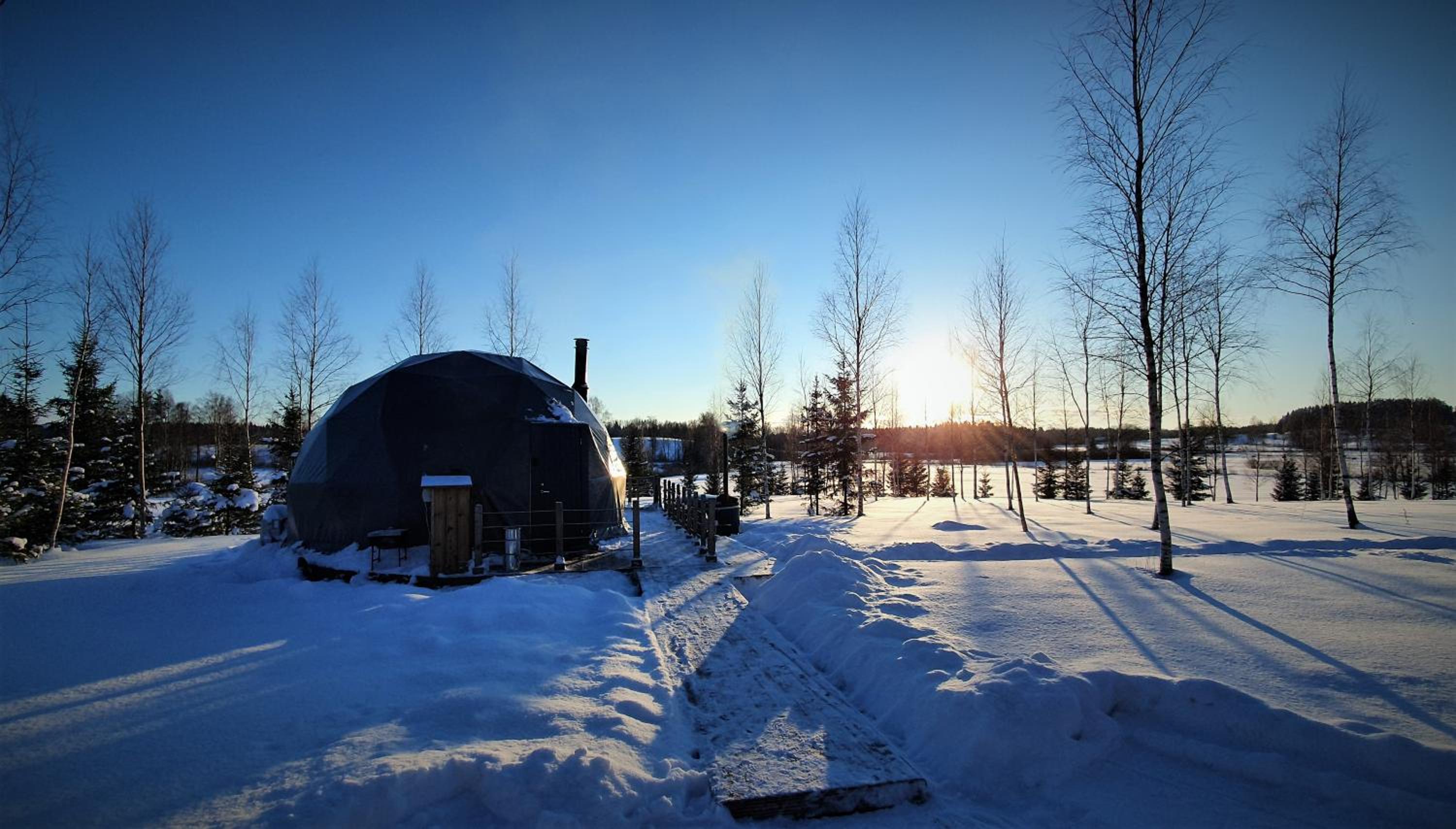 Tent Birches - Photo 14