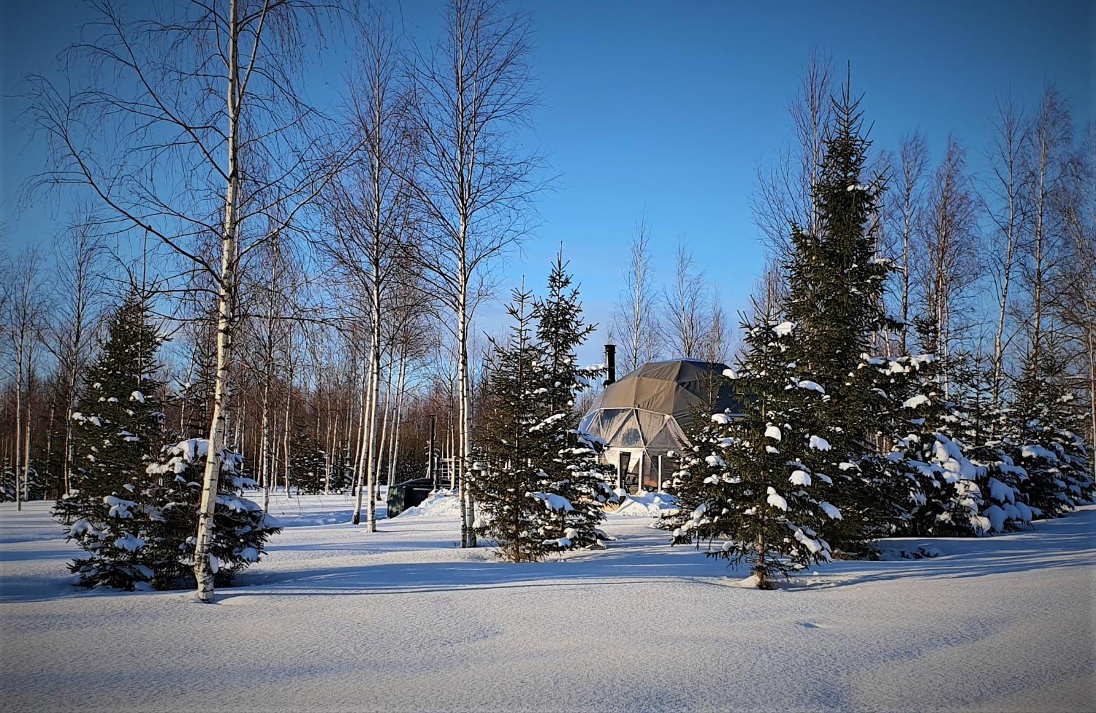 Tent Birches - Photo 27
