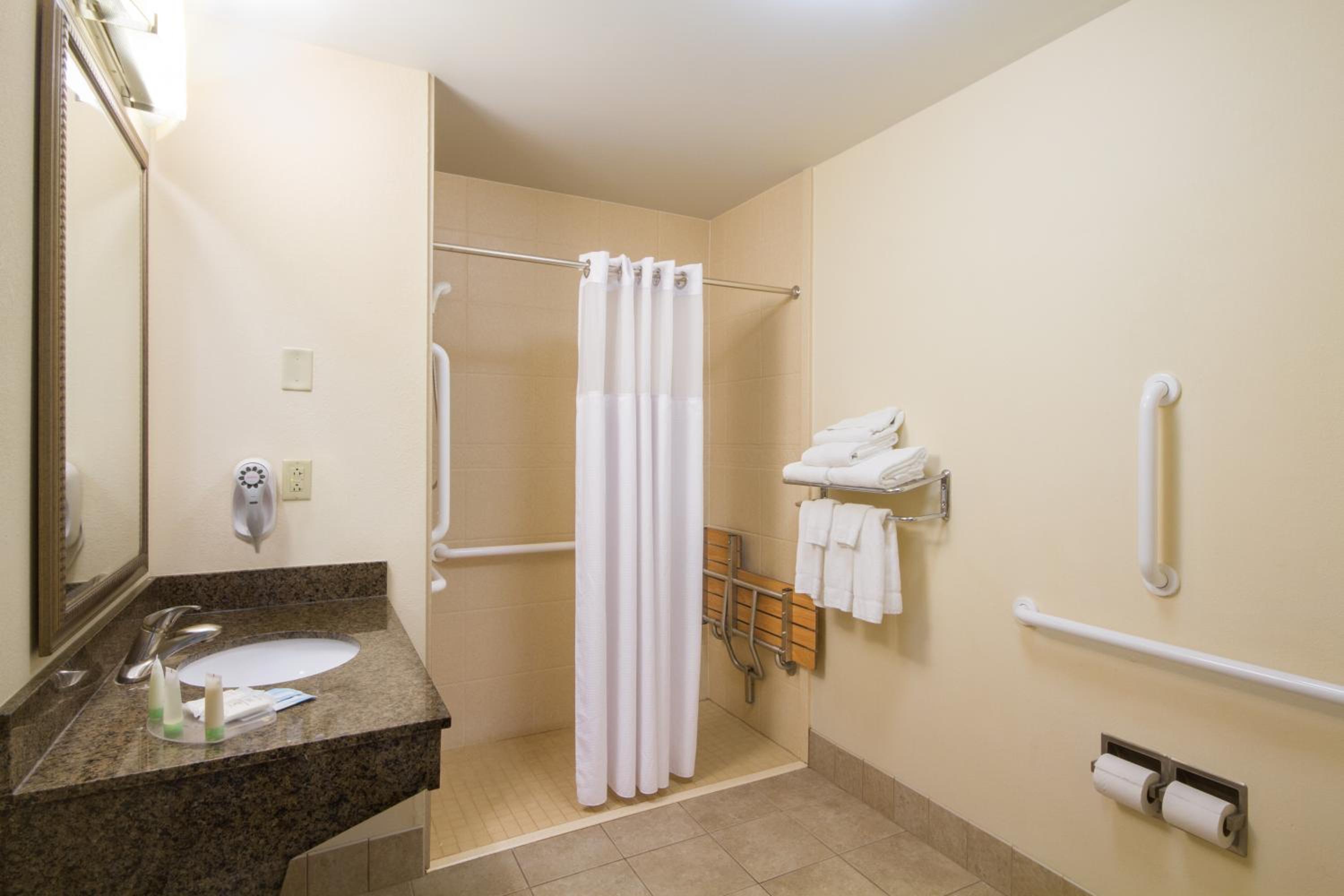 Queen Studio with Roll-In Shower - Non-Smoking - Photo 1
