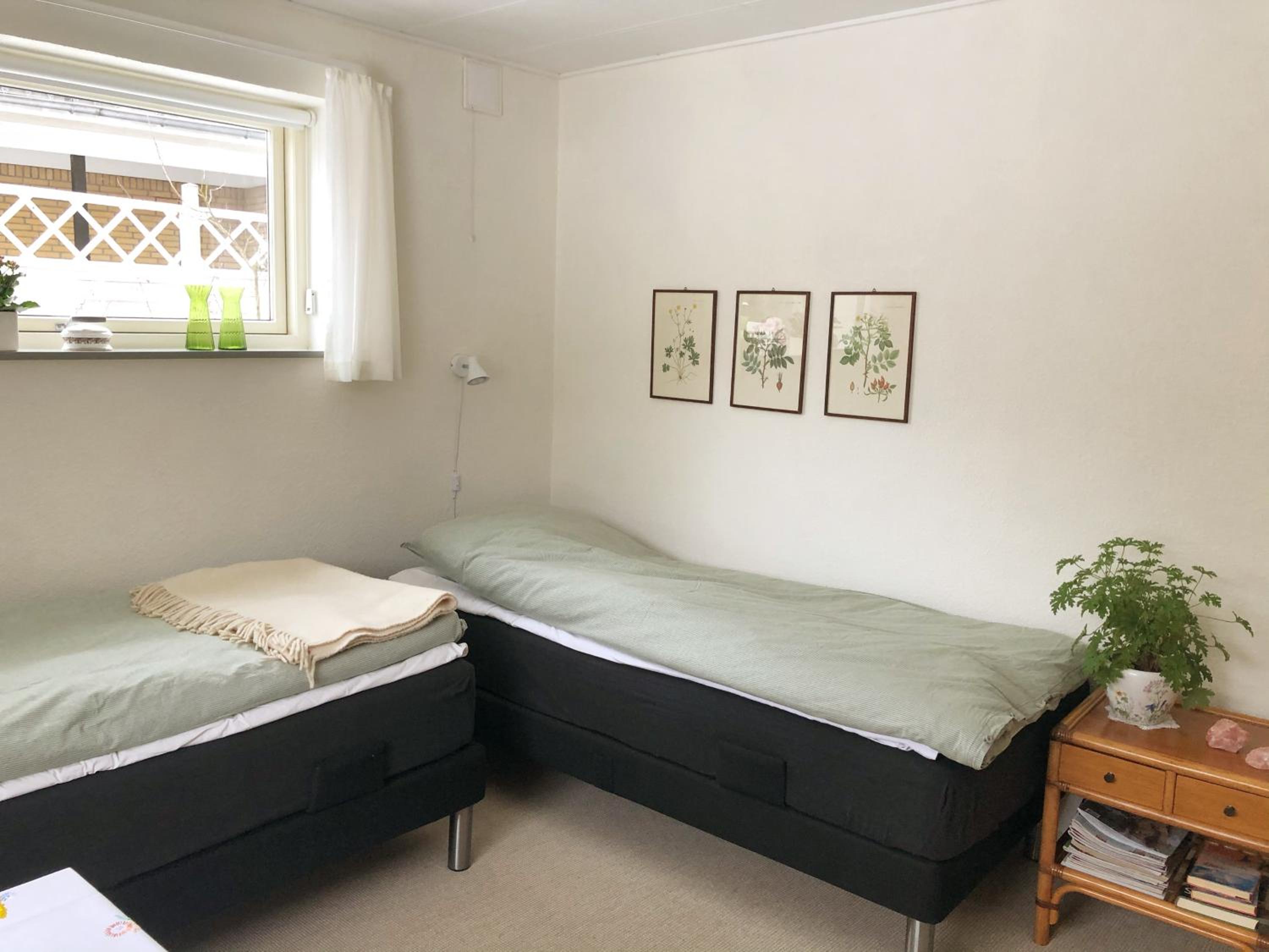 Twin Room photo 2