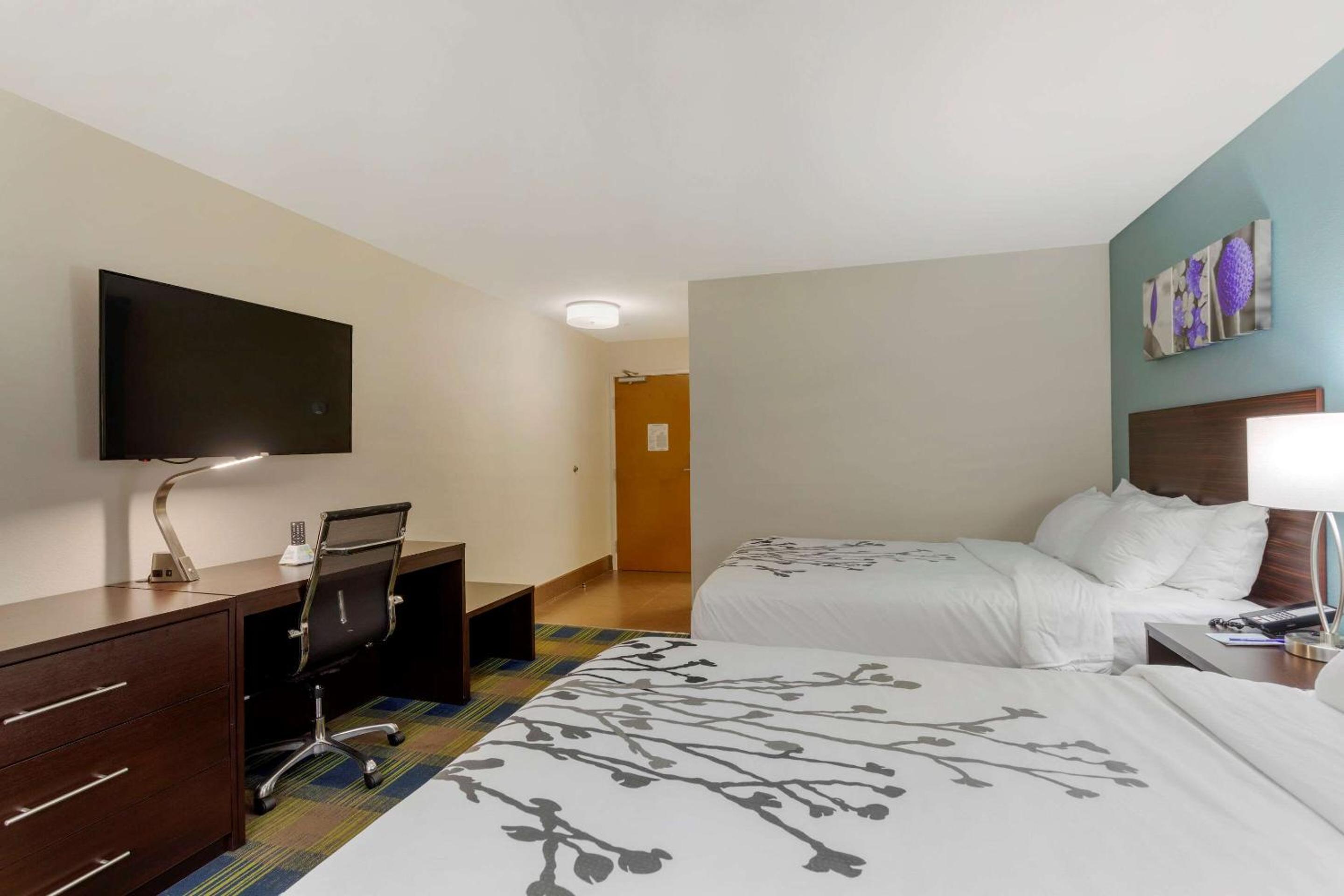 Double Room with Two Double Beds - Photo 3