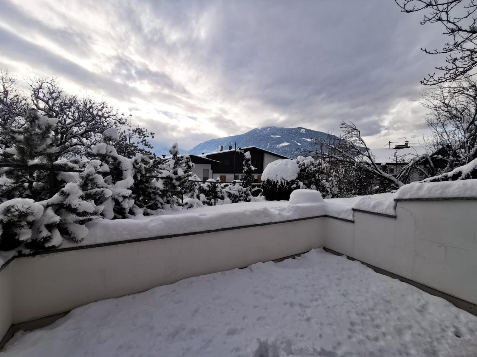 Apartment with Terrace photo 2
