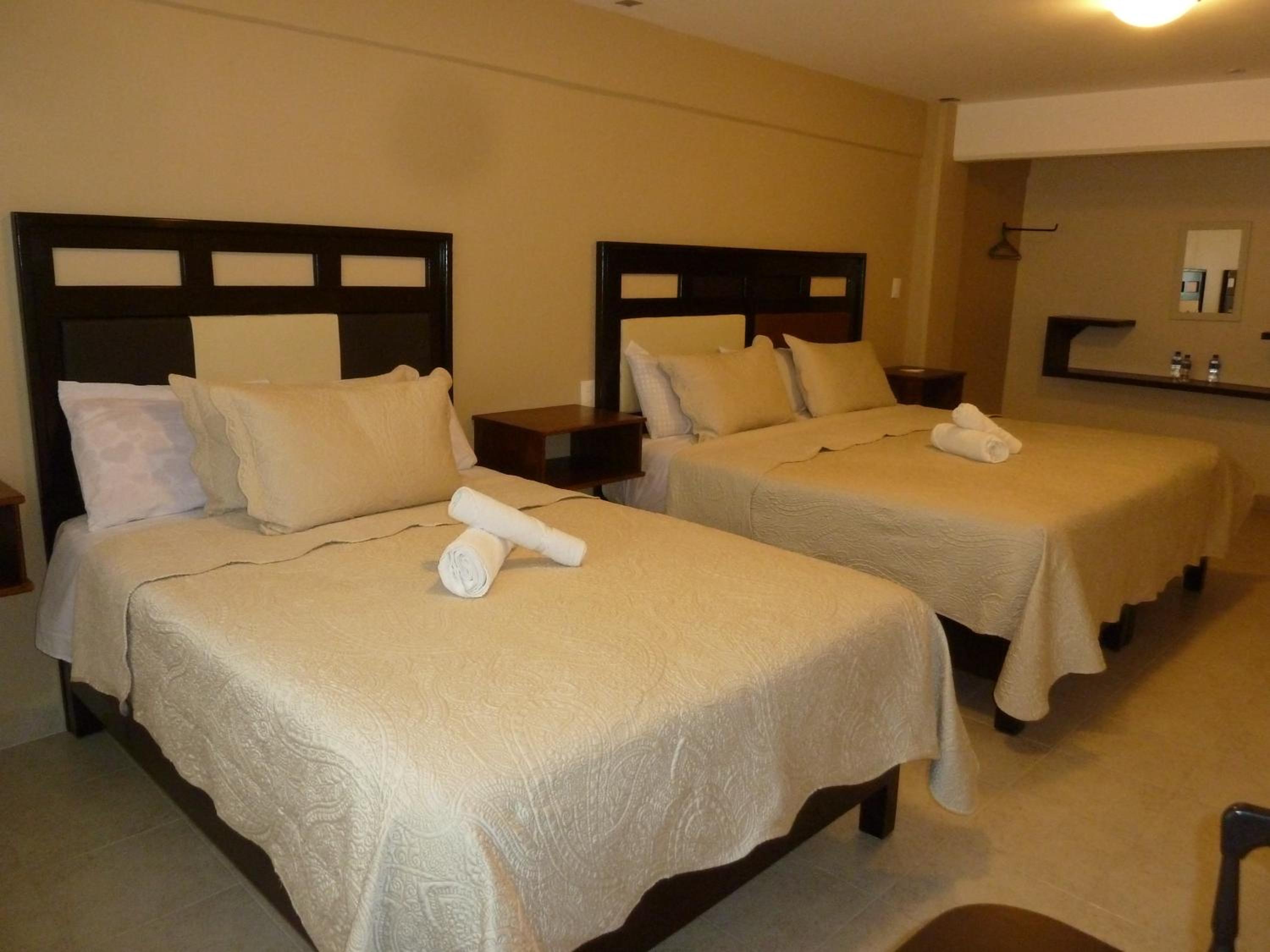 Twin Room photo 2