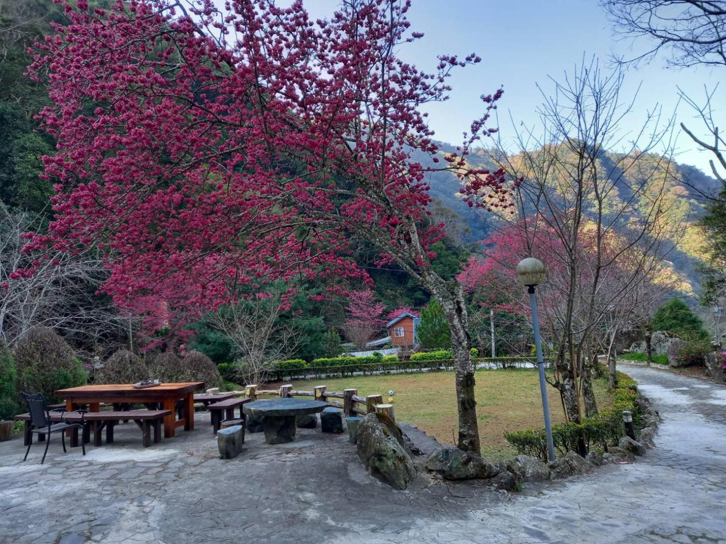Double Room with Mountain View photo 2