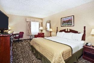 Double Room with Two Double Beds - Pet Friendly/Non-Smoking - Photo 5
