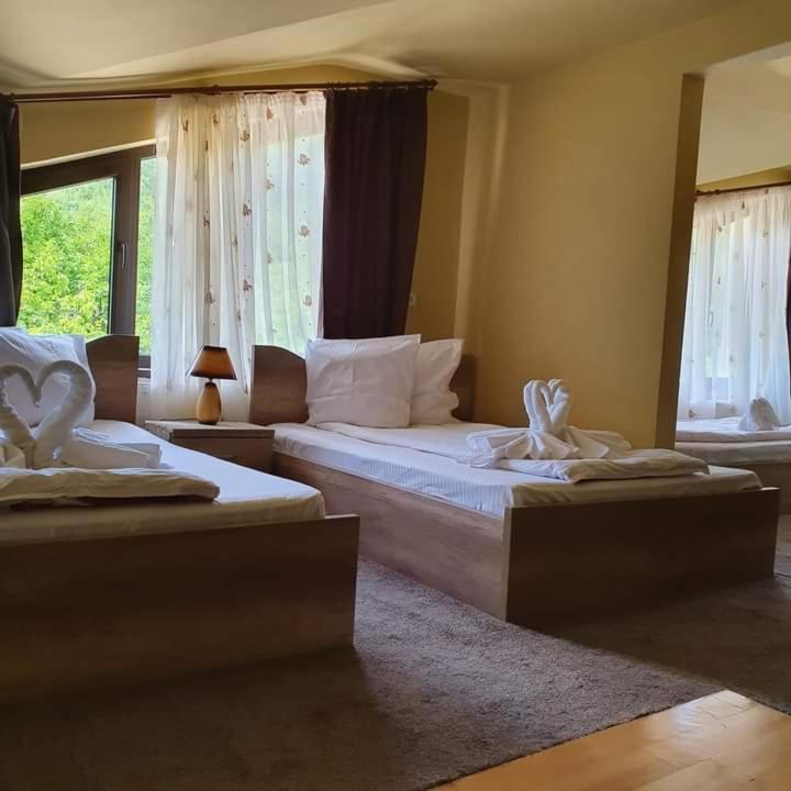 Standard King Room - Photo 1