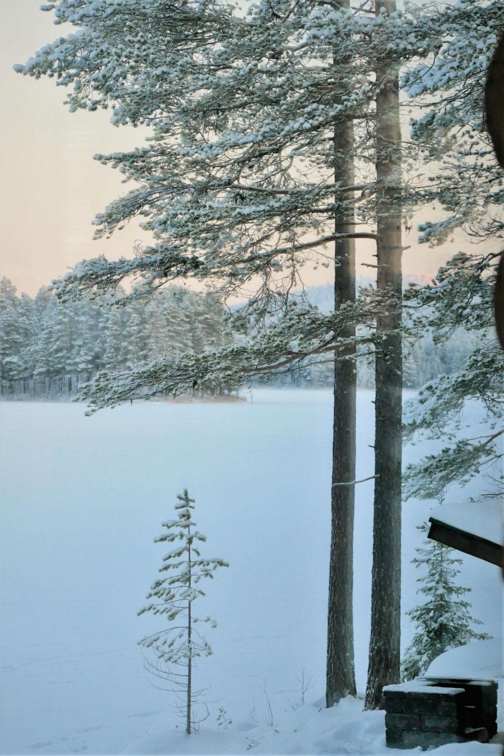 Chalet photo 3