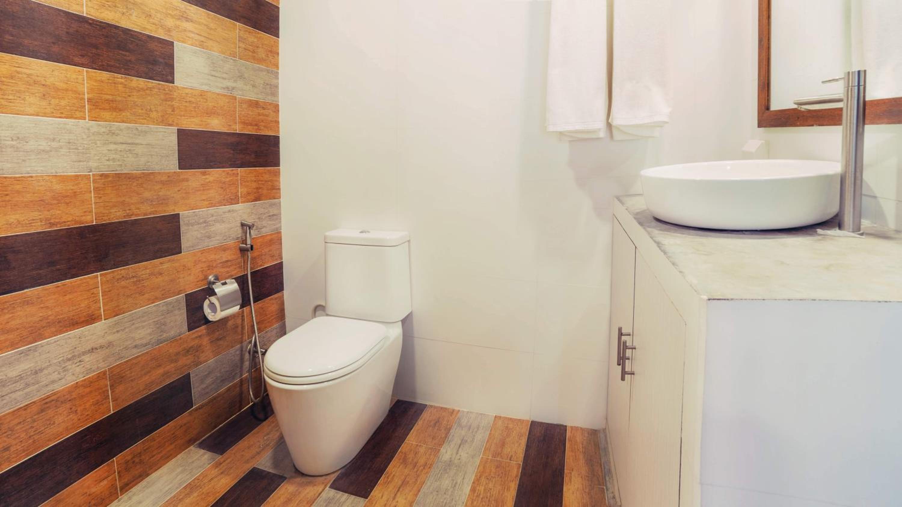 Deluxe Double or Twin Room photo 3