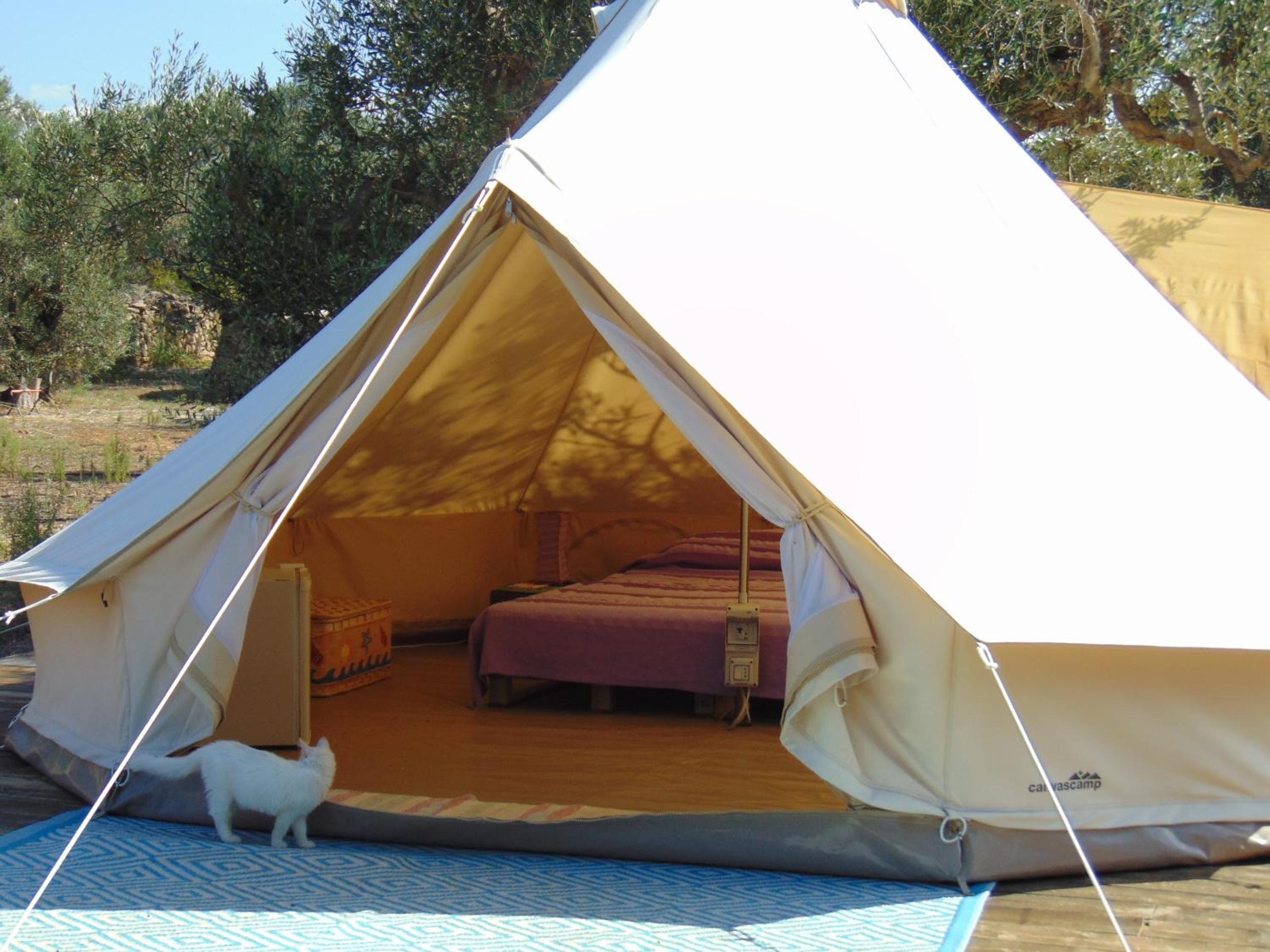 Superior Tent - Photo 3