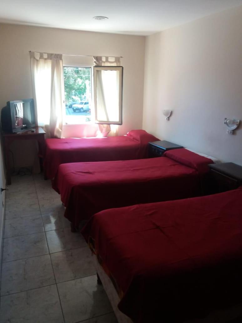 Triple Room photo 3
