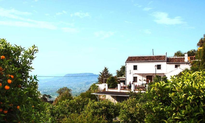 Seven-Bedroom House photo 2