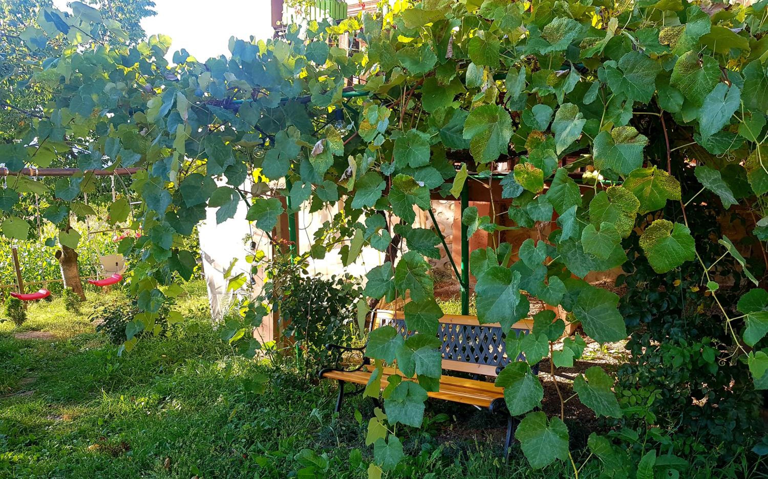 Villa - Photo 31