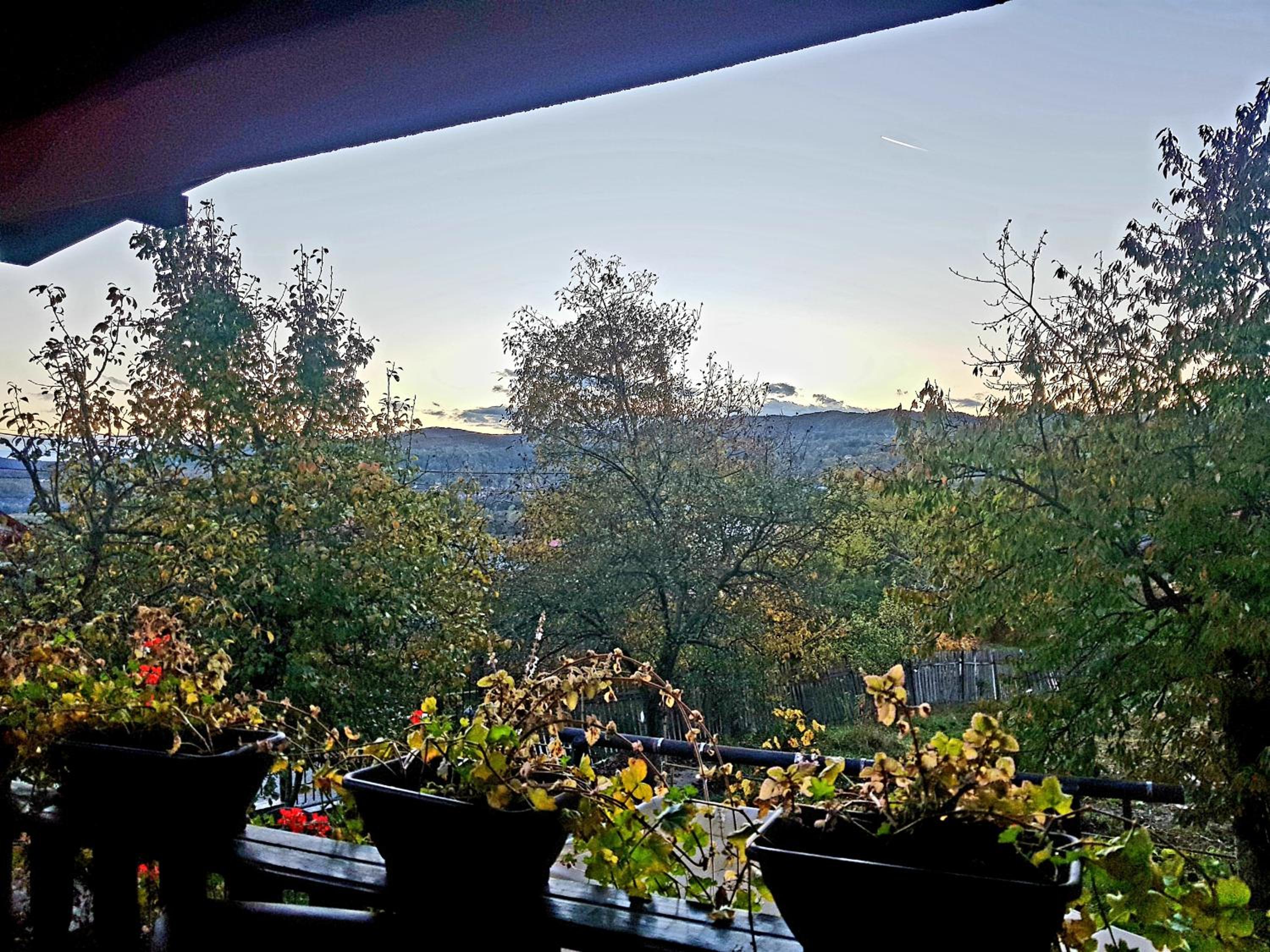 Villa - Photo 33