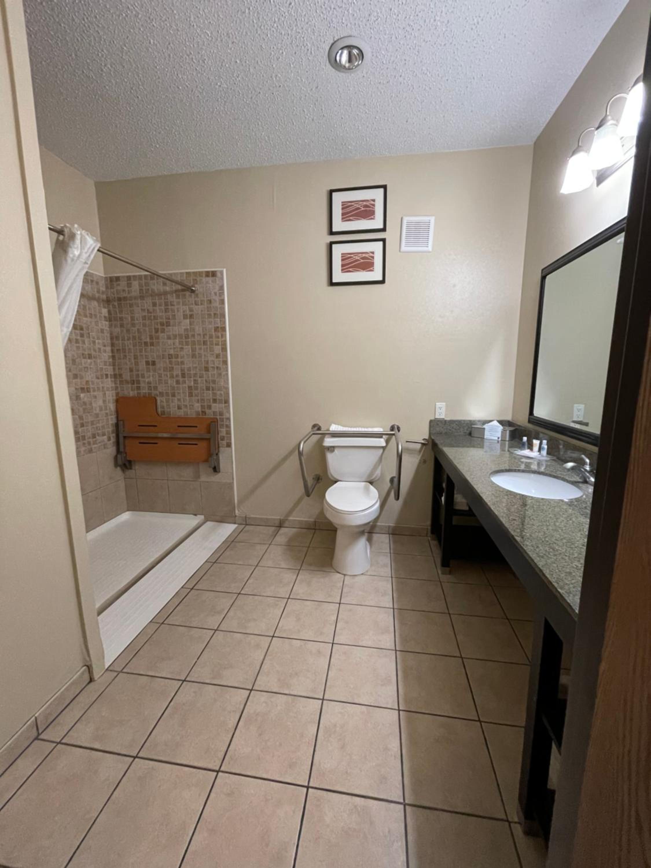 King Suite - Accessible/Non-Smoking - Photo 4