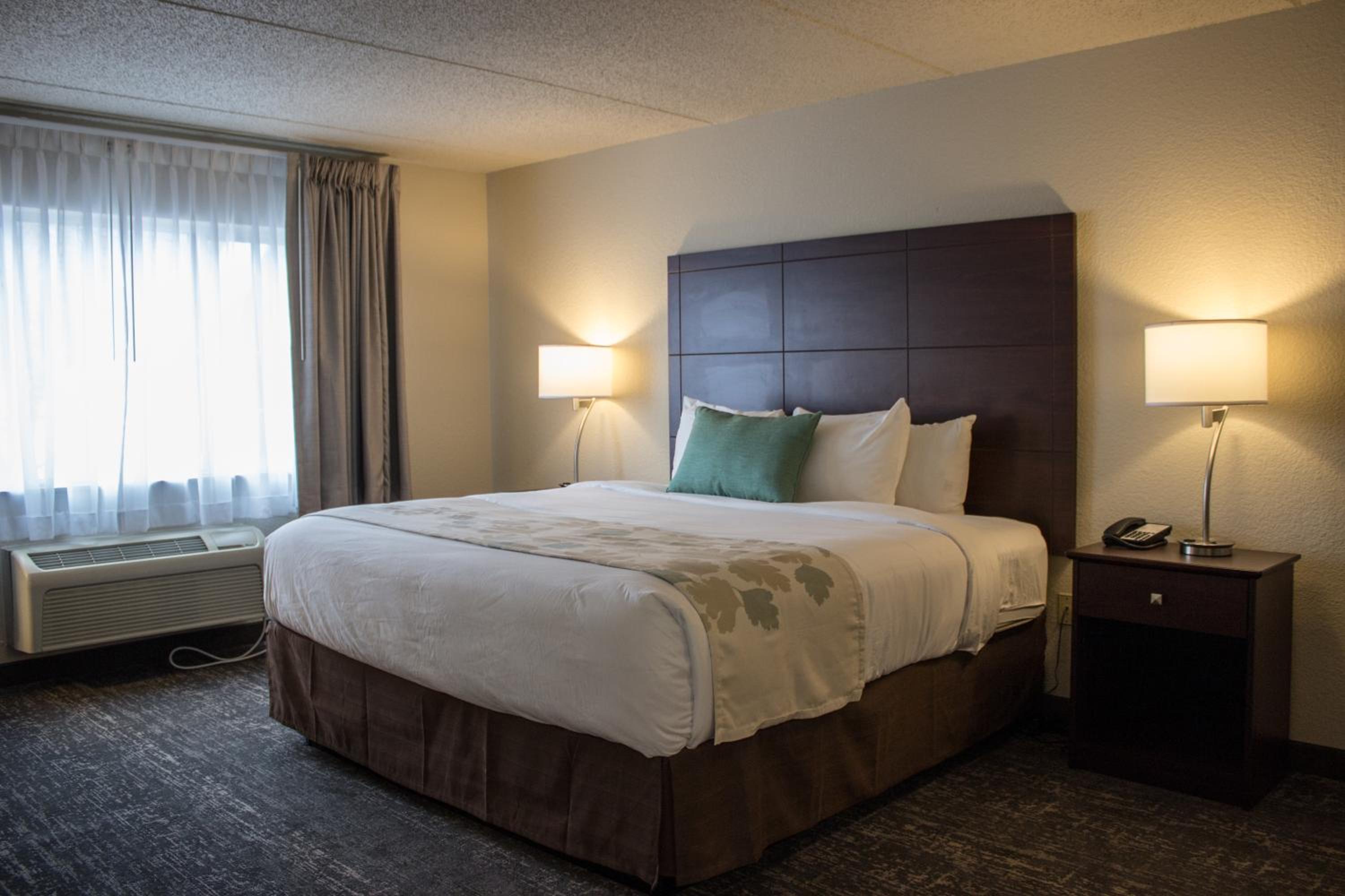 Deluxe Two Room King Suite - Disability Access - Non-Smoking  - Photo 1