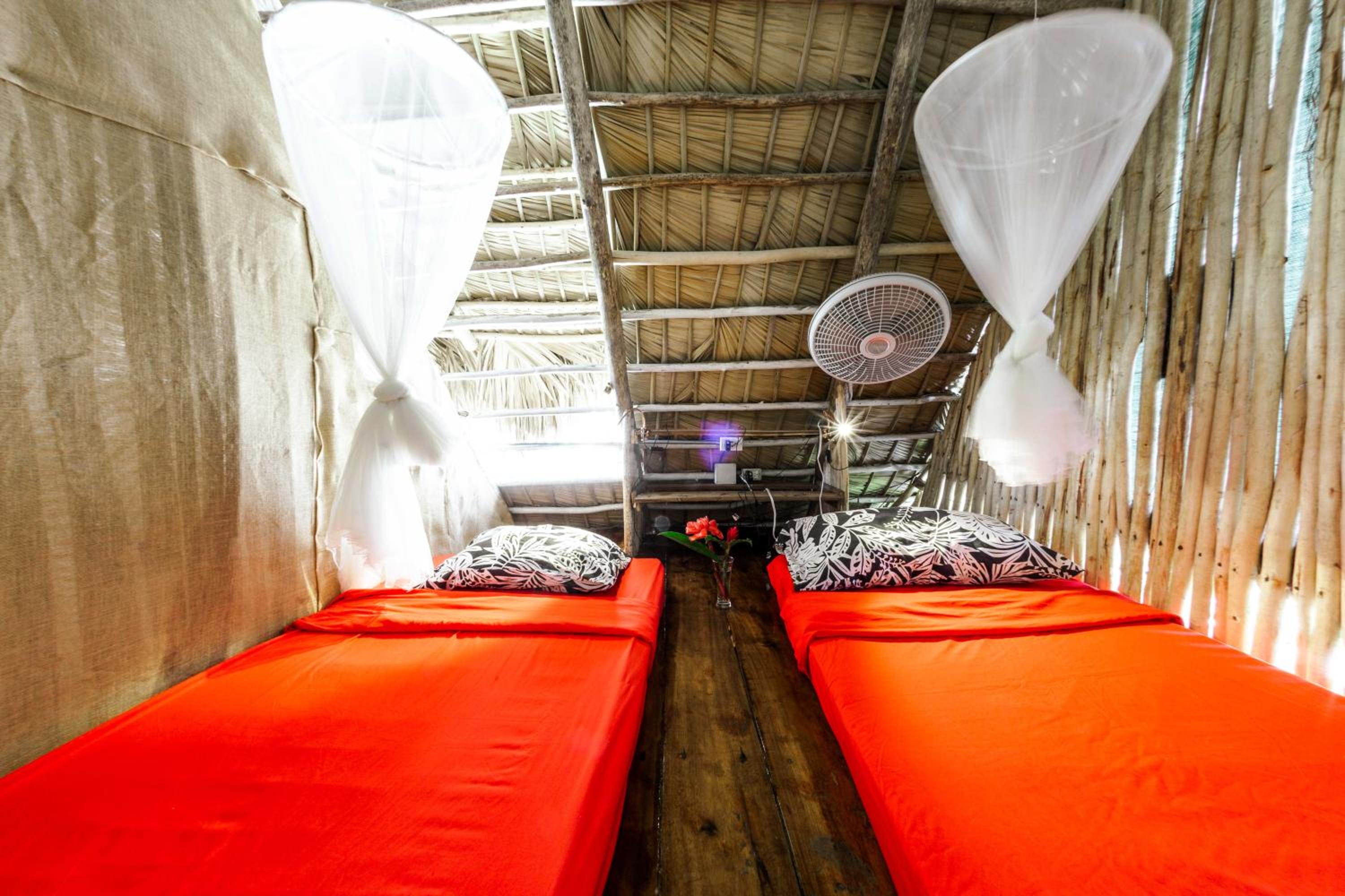 Single Bed in Mixed Dormitory Room photo 2