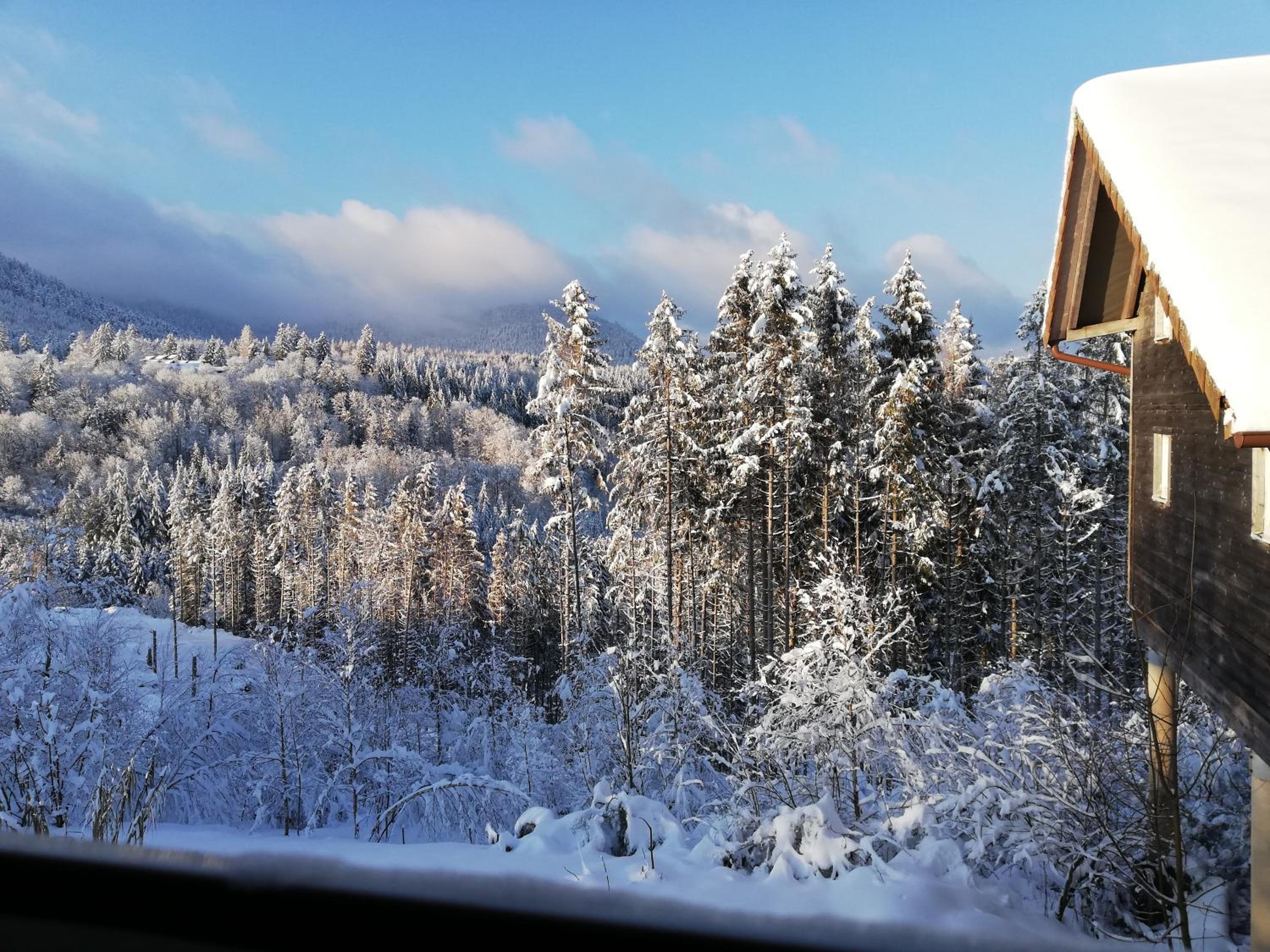 Chalet - la Délicate  photo 2