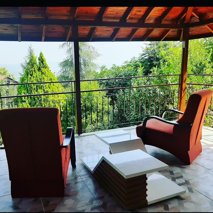 Suite with Terrace photo 3