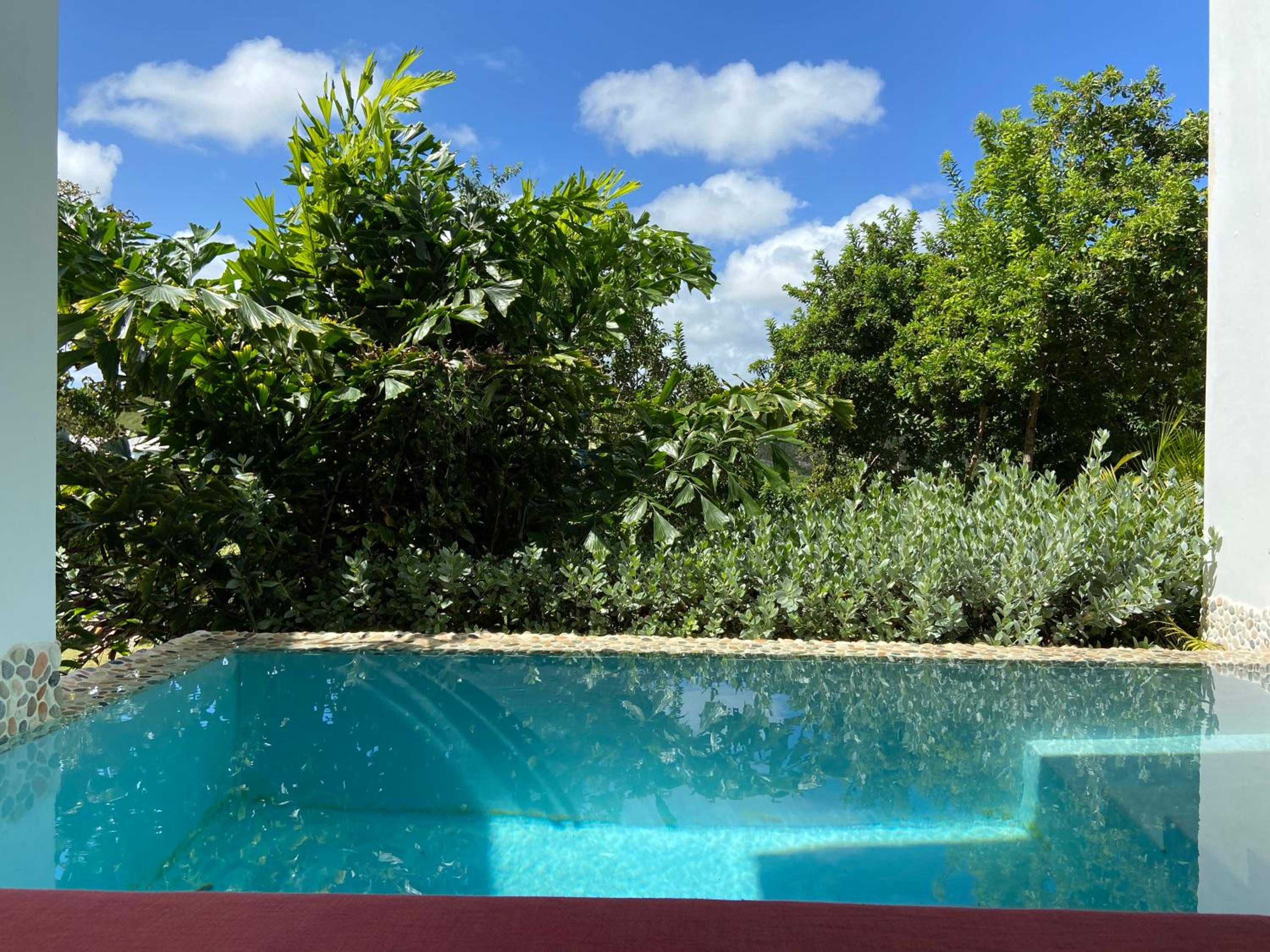 Garden View Pool Suite photo 2