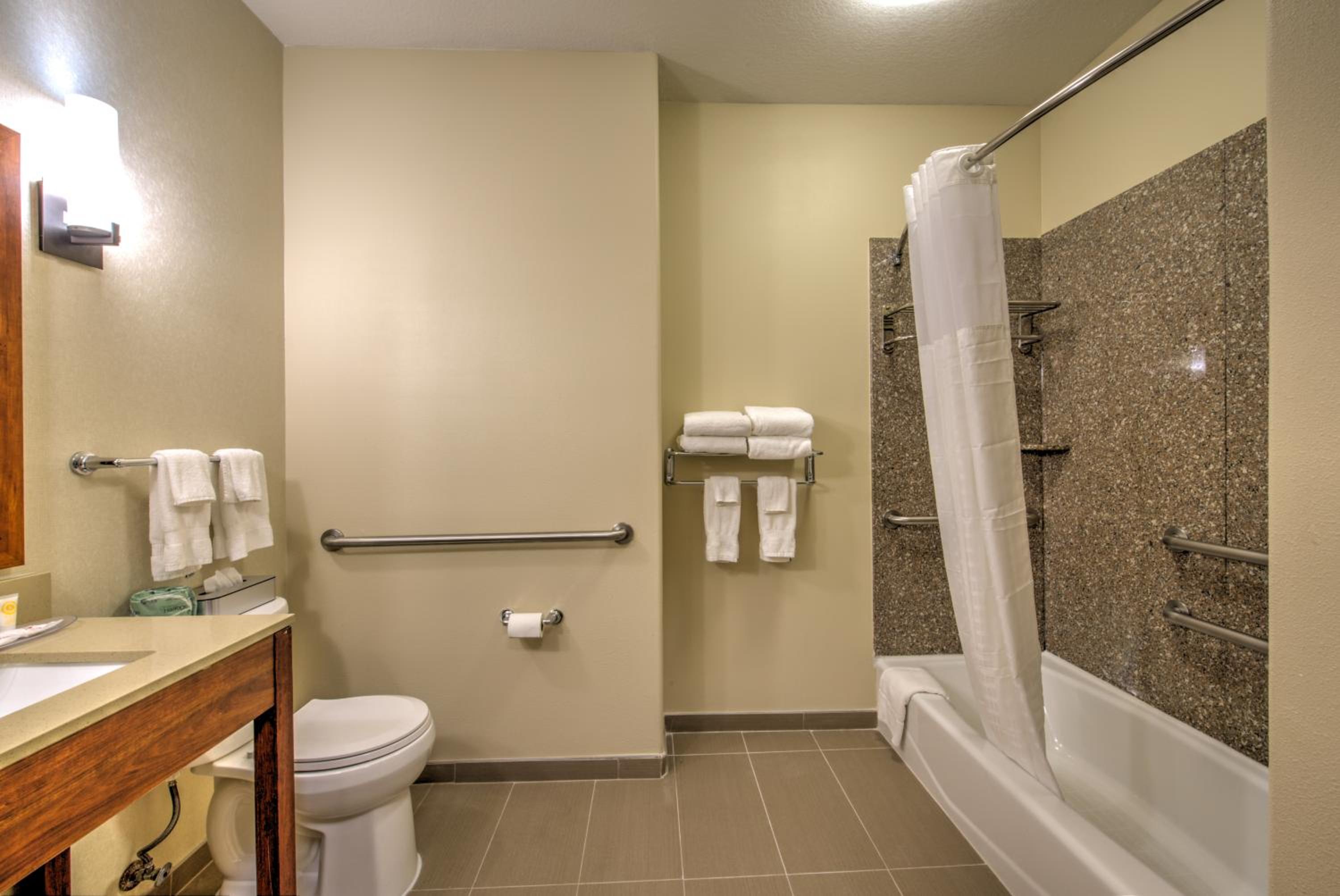 King Suite - Photo 6