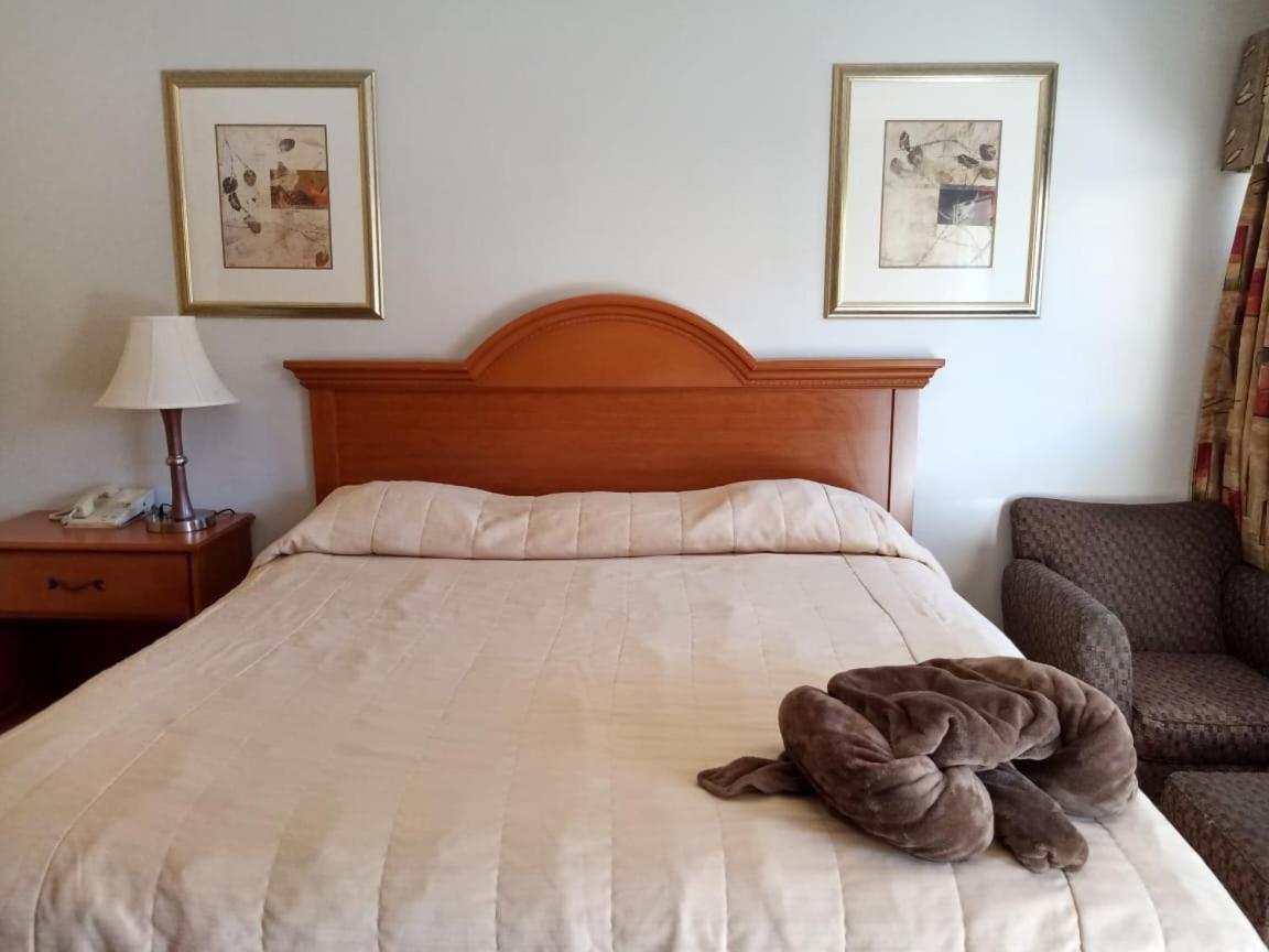 Confort Single room