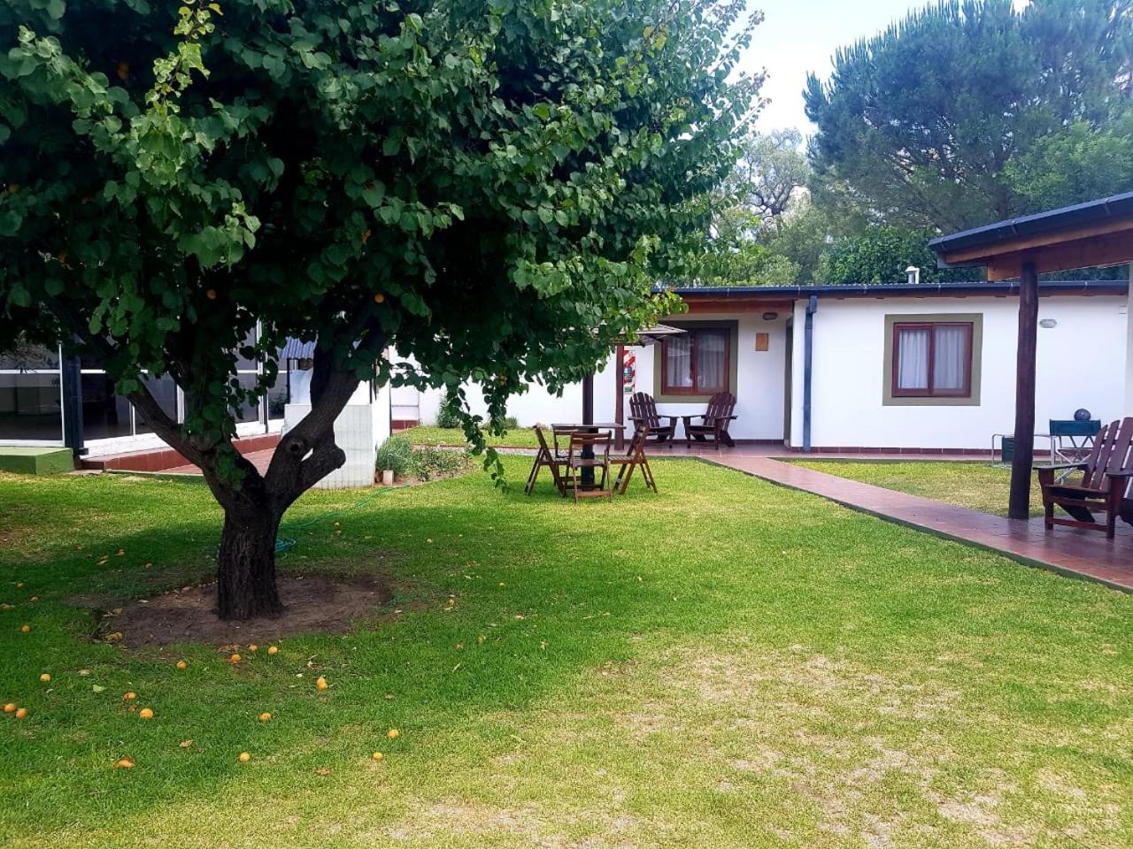 One-Bedroom Chalet photo 2