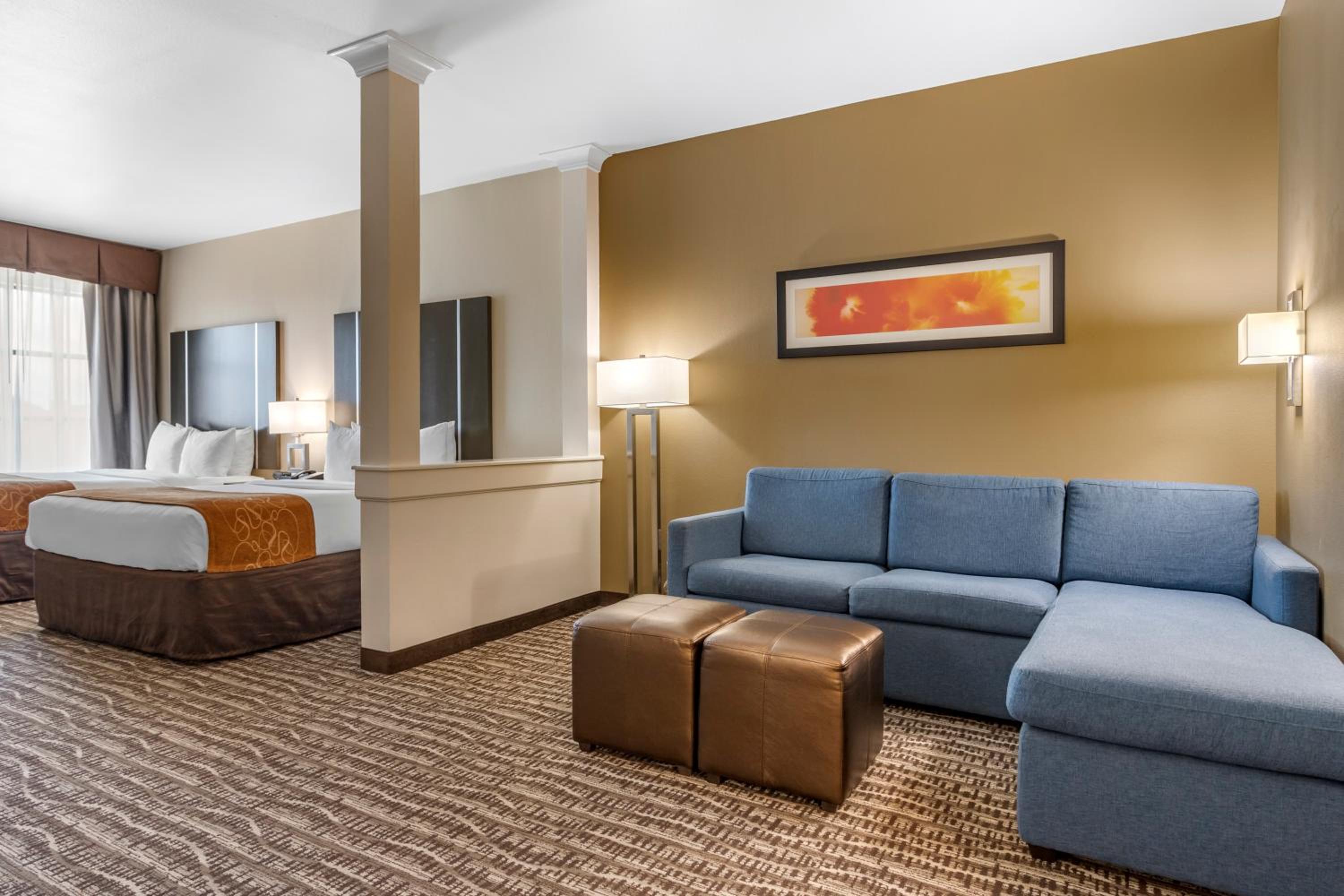 Comfort Suites Near Sam Houston Race Park, Photo 7