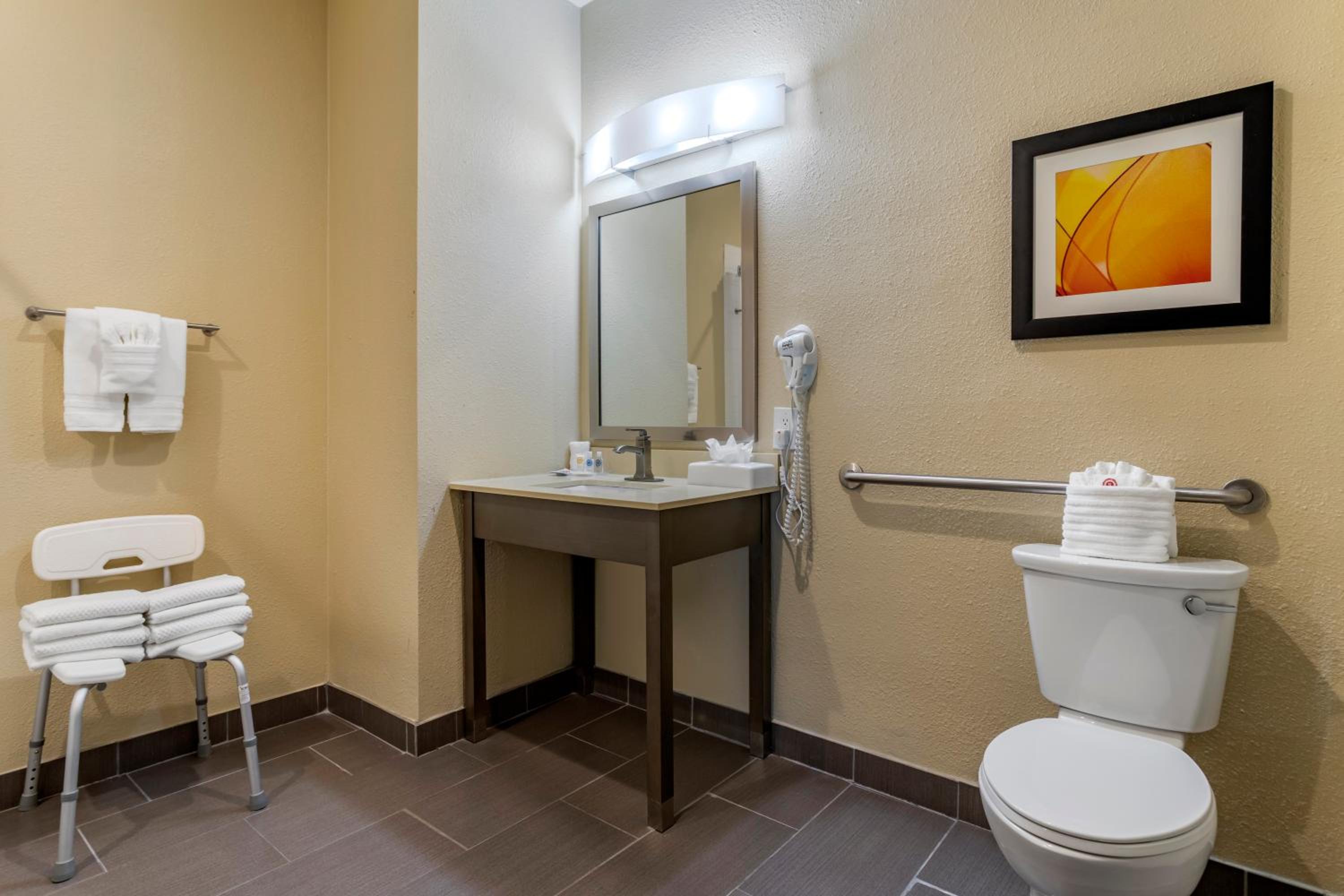 Comfort Suites Near Sam Houston Race Park, Photo 2