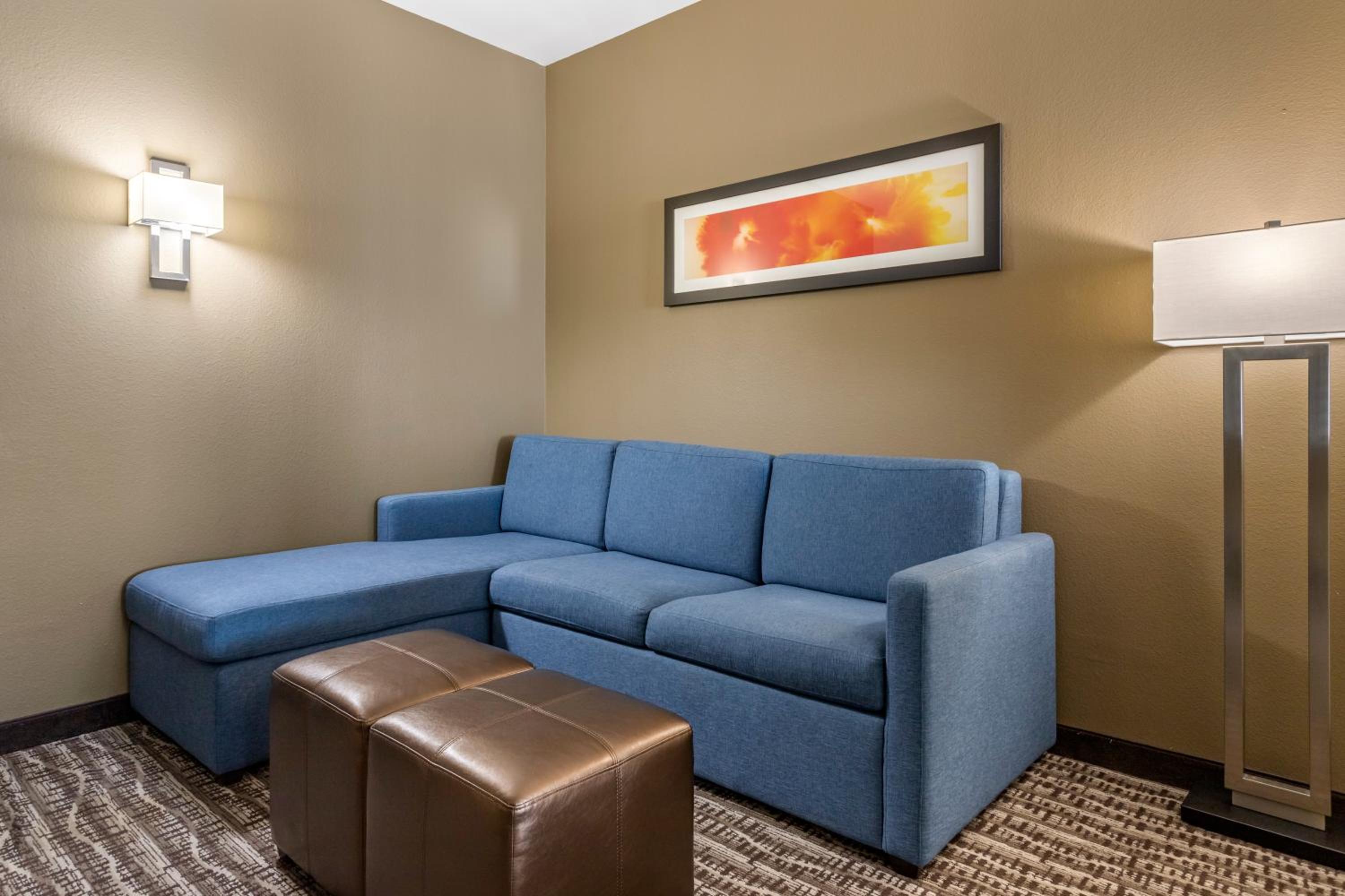 Comfort Suites Near Sam Houston Race Park, Photo 13