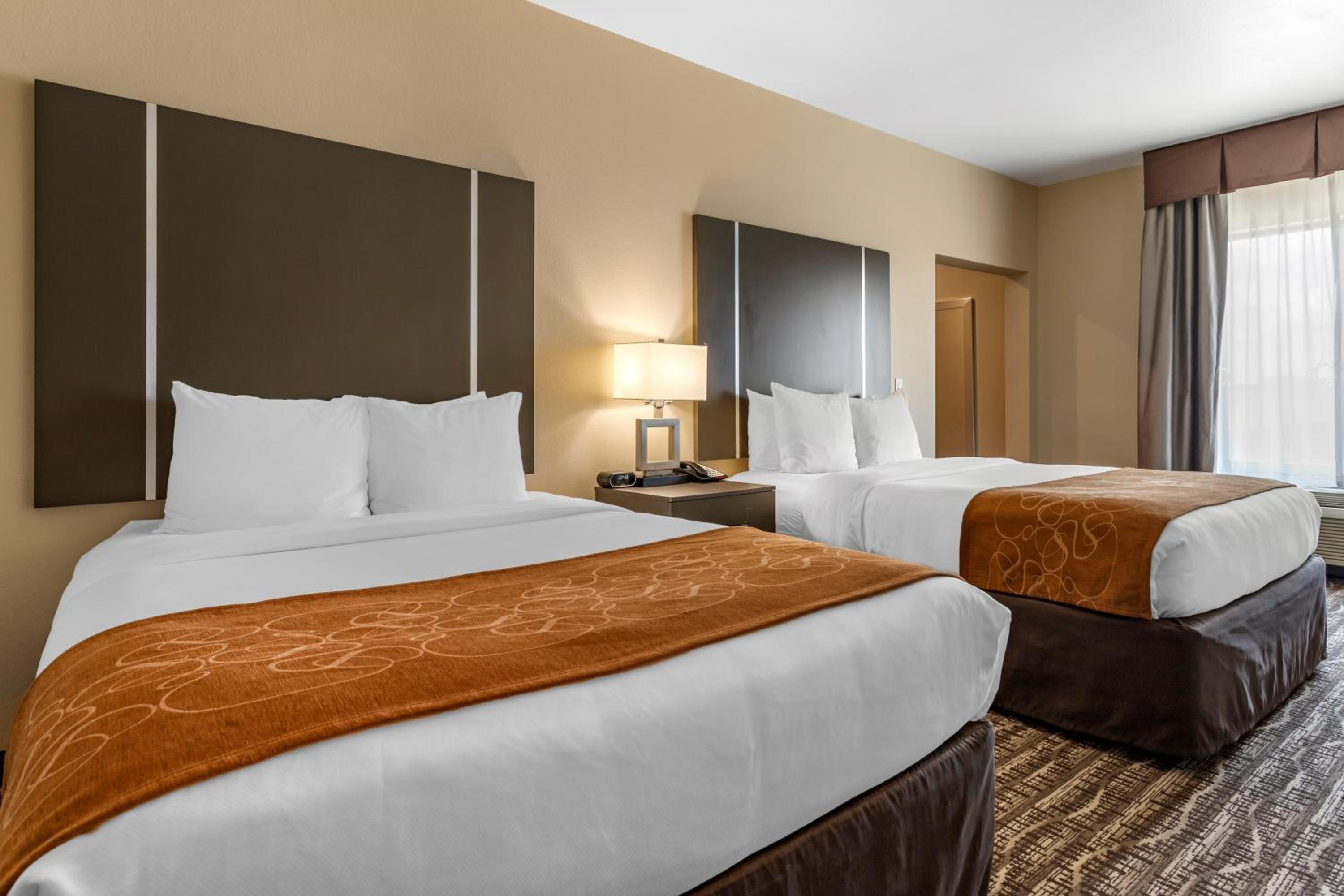Comfort Suites Near Sam Houston Race Park, Photo 3