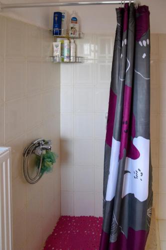 One-Bedroom House photo 2