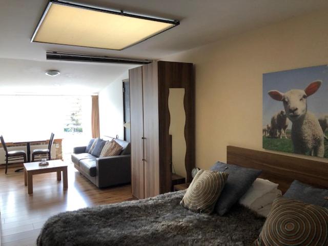 Deluxe Junior Suite - Photo 1