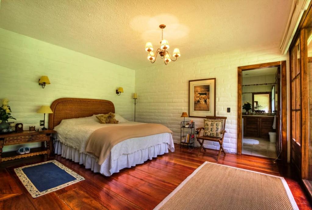 Superior Villa photo 1