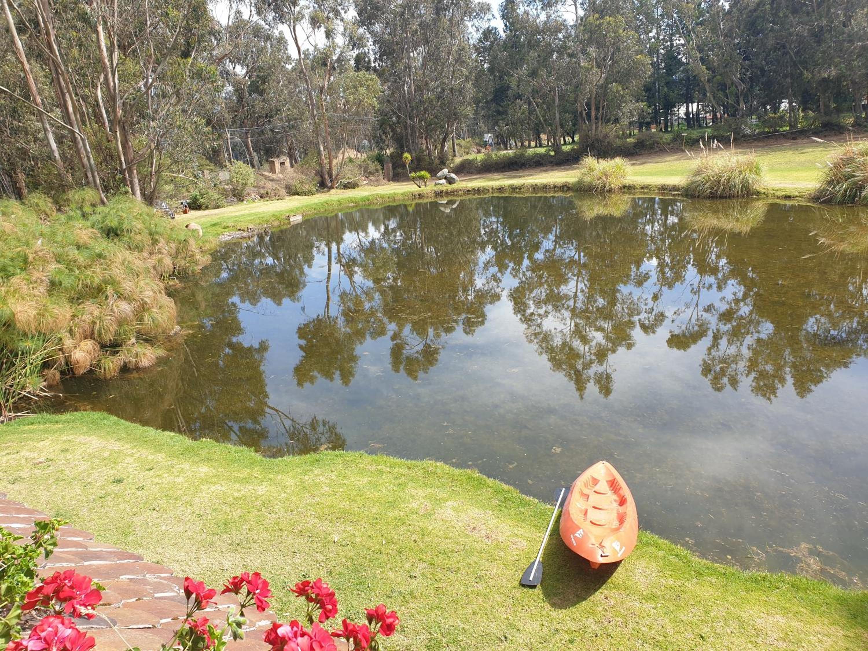 Superior Villa photo 2