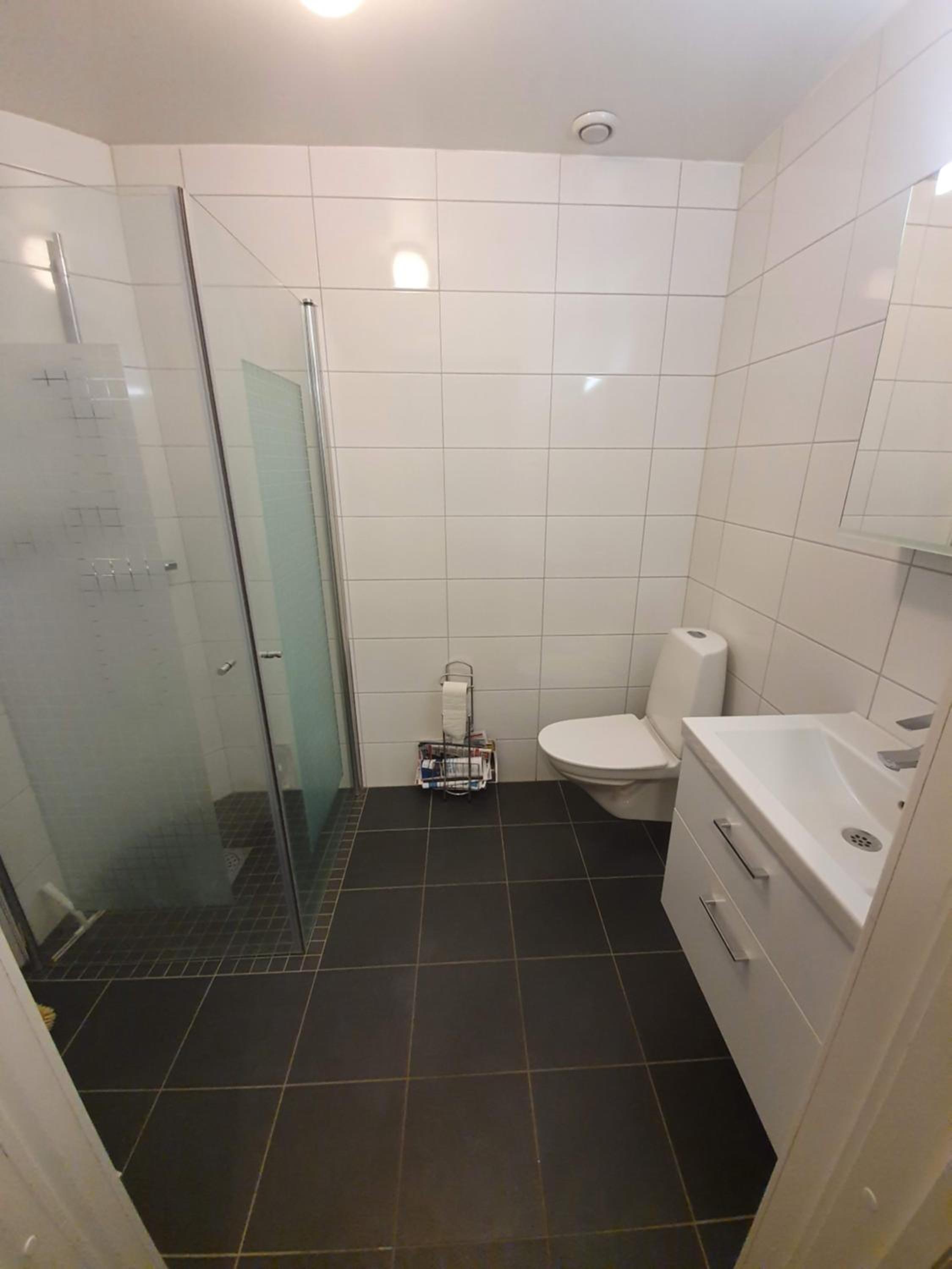 Three-Bedroom Apartment - Photo 19