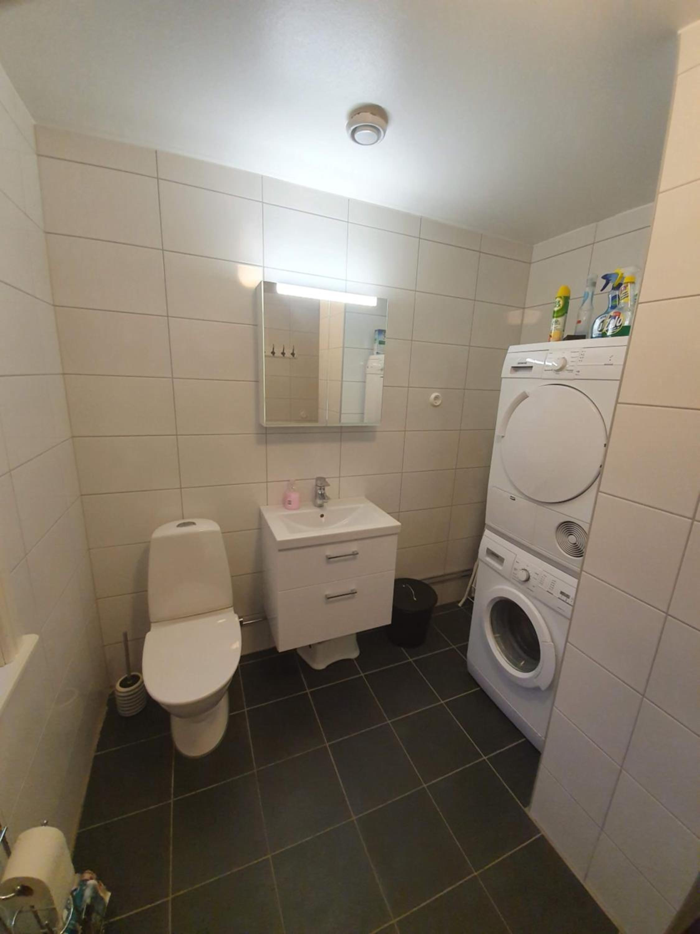 Three-Bedroom Apartment - Photo 12