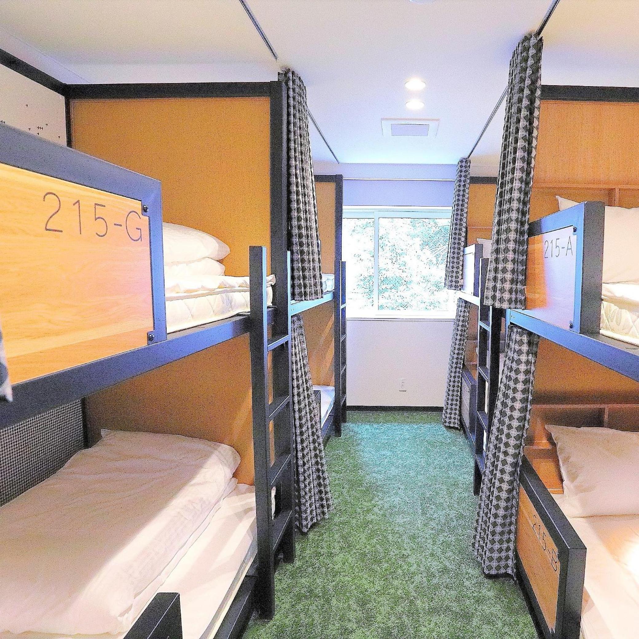 Bunk Bed in Female Dormitory Room   photo 1