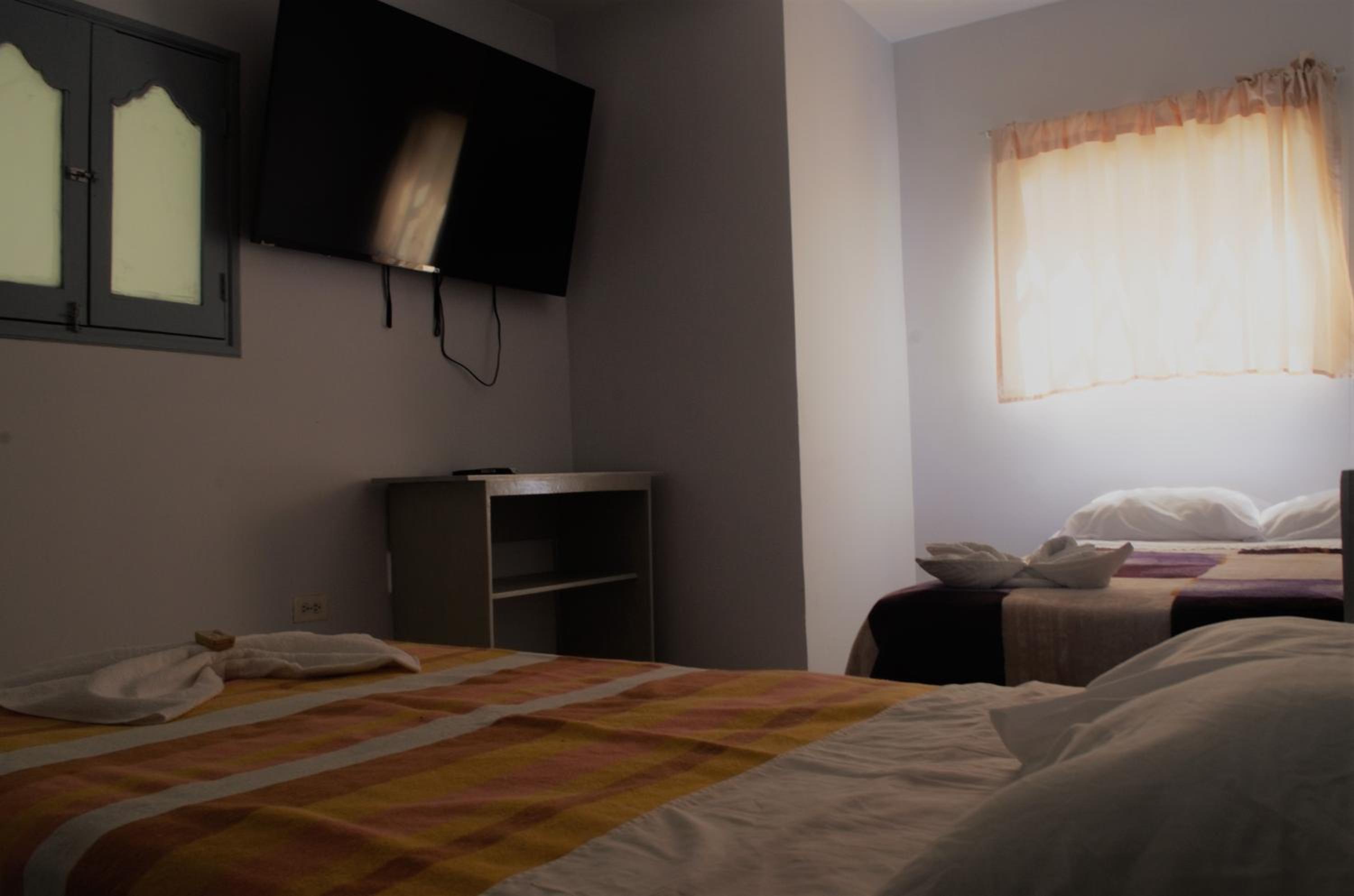 Deluxe Double or Twin Room photo 3