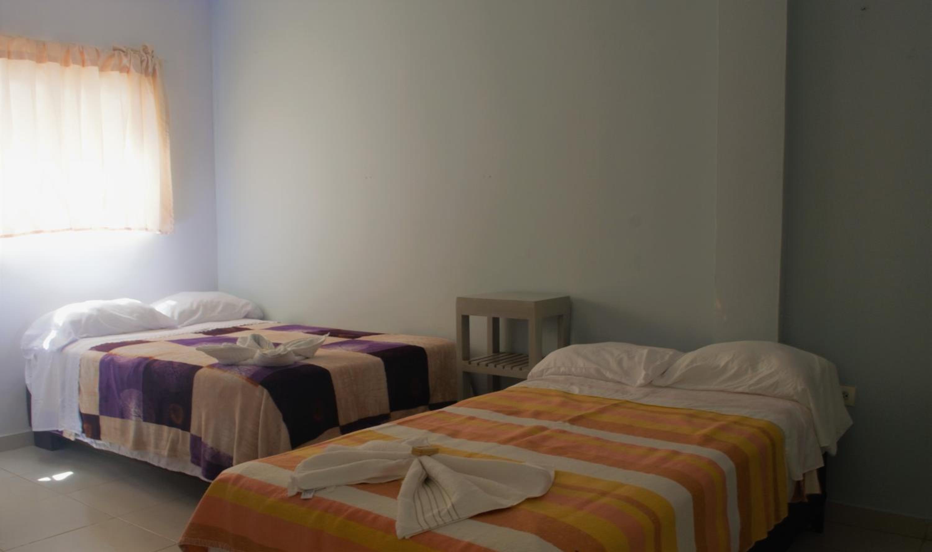 Deluxe Double or Twin Room photo 2